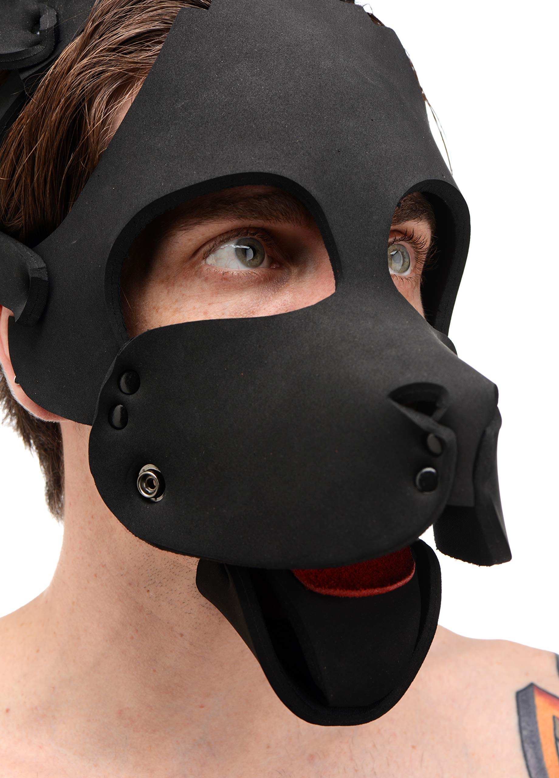 Master Series Neoprene Dog Hood with Removable Muzzle Buy Online in