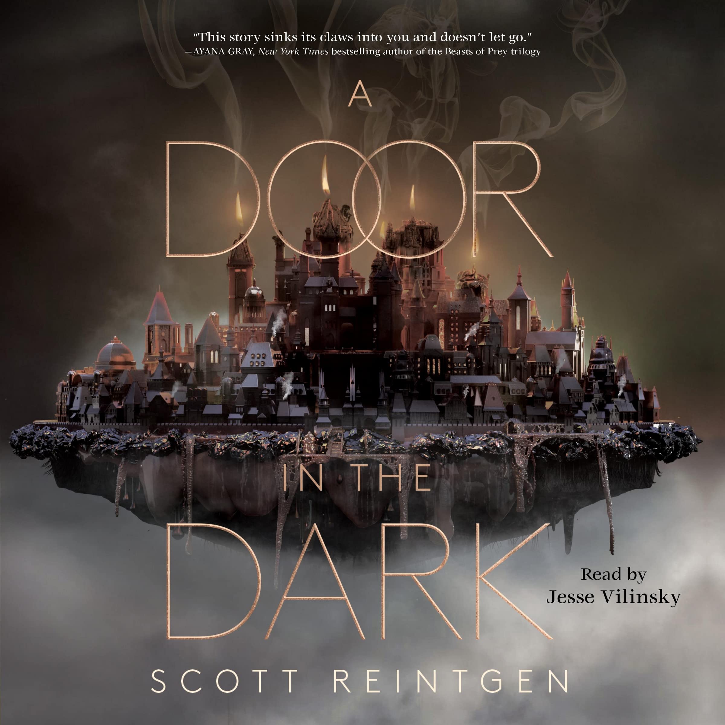 Book cover for A Door in the Dark