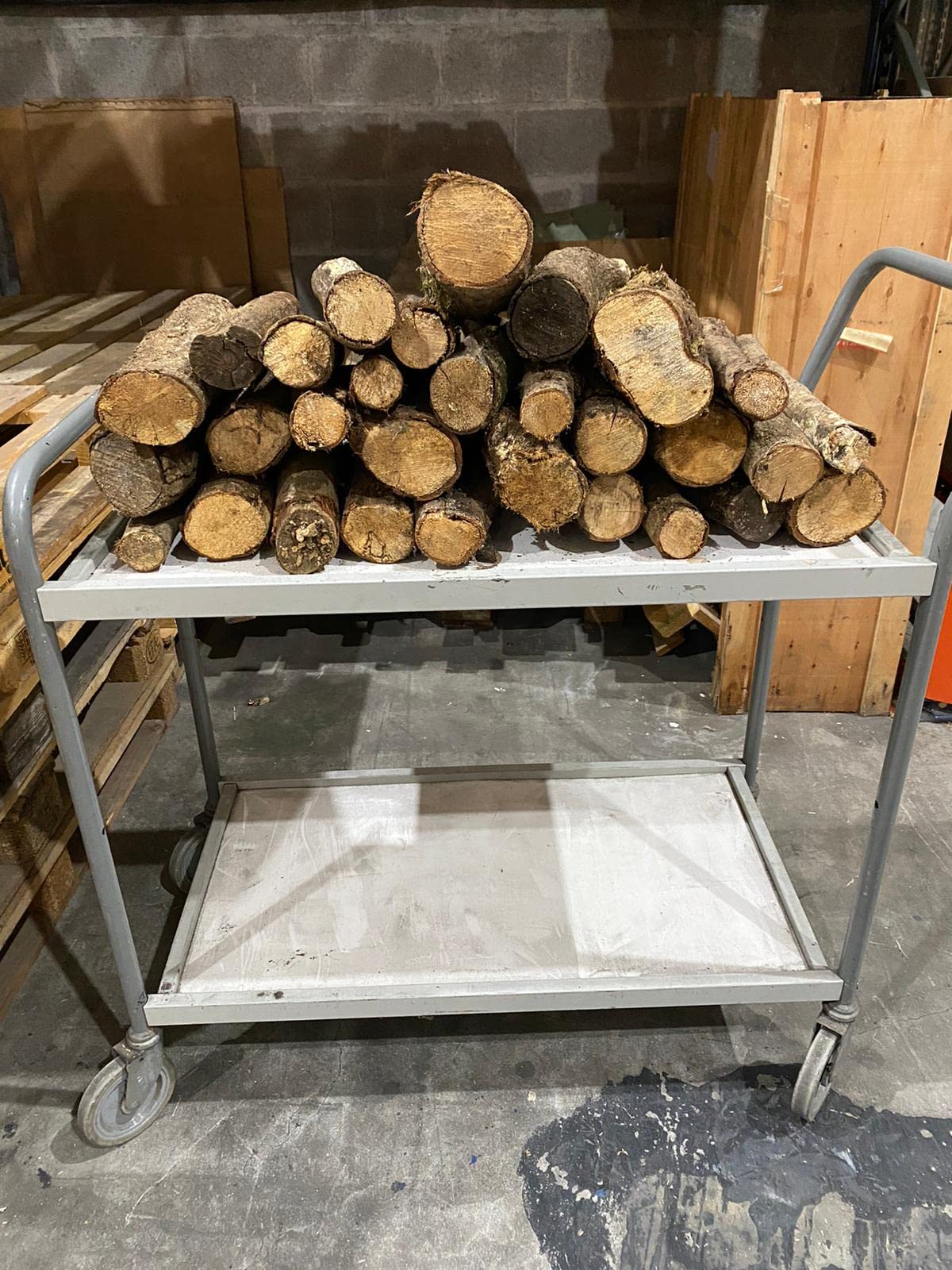 Jandei - Leña de Roble (24Kg) Tronco Mediano 30-40cm. Totalmente Seca, para Chimeneas, Barbacoas, Calderas, Estufas y Cocinas. Origen España, Marrón, JNM-0001