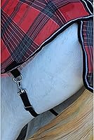 Vista 4 de CHALLENGER 68" Caballo Malla Luz Scrim Verano Hoja Resorte Flujo de Aire Flysheet Protección 73418