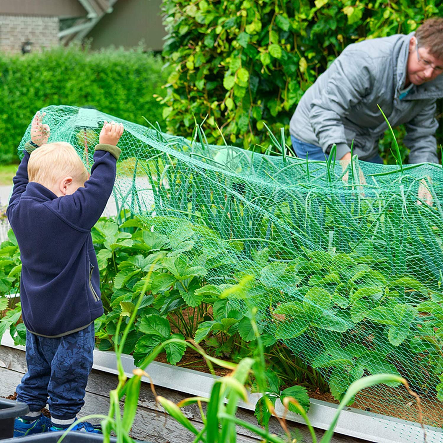 Anti Bird Netting - Protect Your Plants! -3
