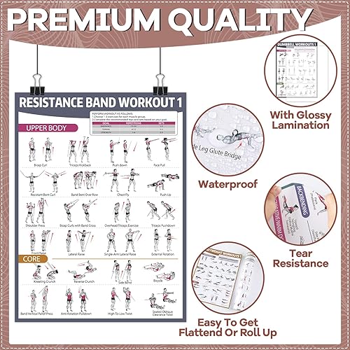 Miniatura 3 de gisgfim 12 pósteres de entrenamiento para mancuernas de gimnasio en casa, peso corporal, estiramiento, pesas rusas, yoga, bandas de resistencia,