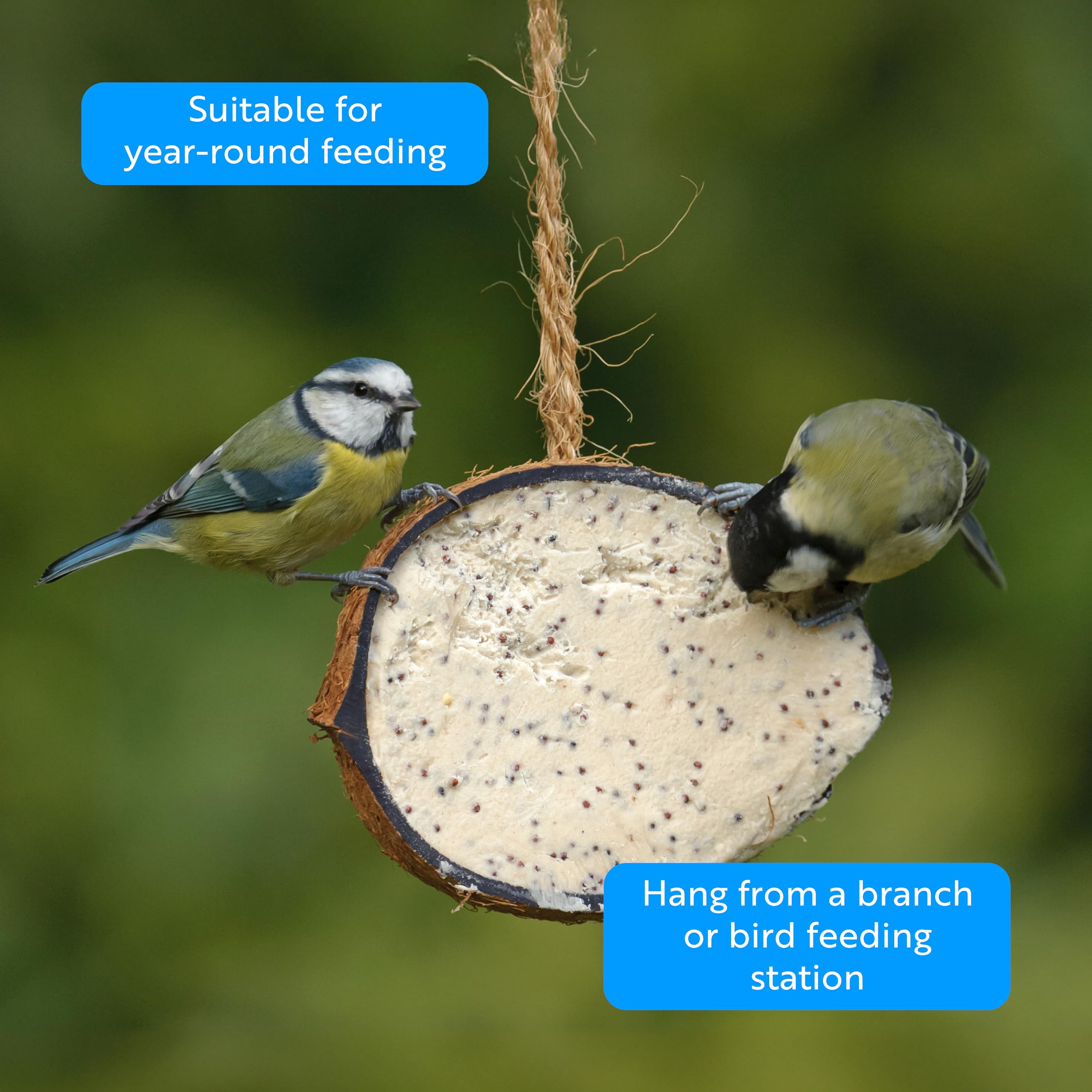 RSPB - Coconut Halves, Bird Food for Outside Birds, Wild Food with Suet, Dried Mealworms, Seeds, and Cereals, High Energy, Filled in the UK, Suitable for Year-Round Feeding (10 x 320g) — view 6