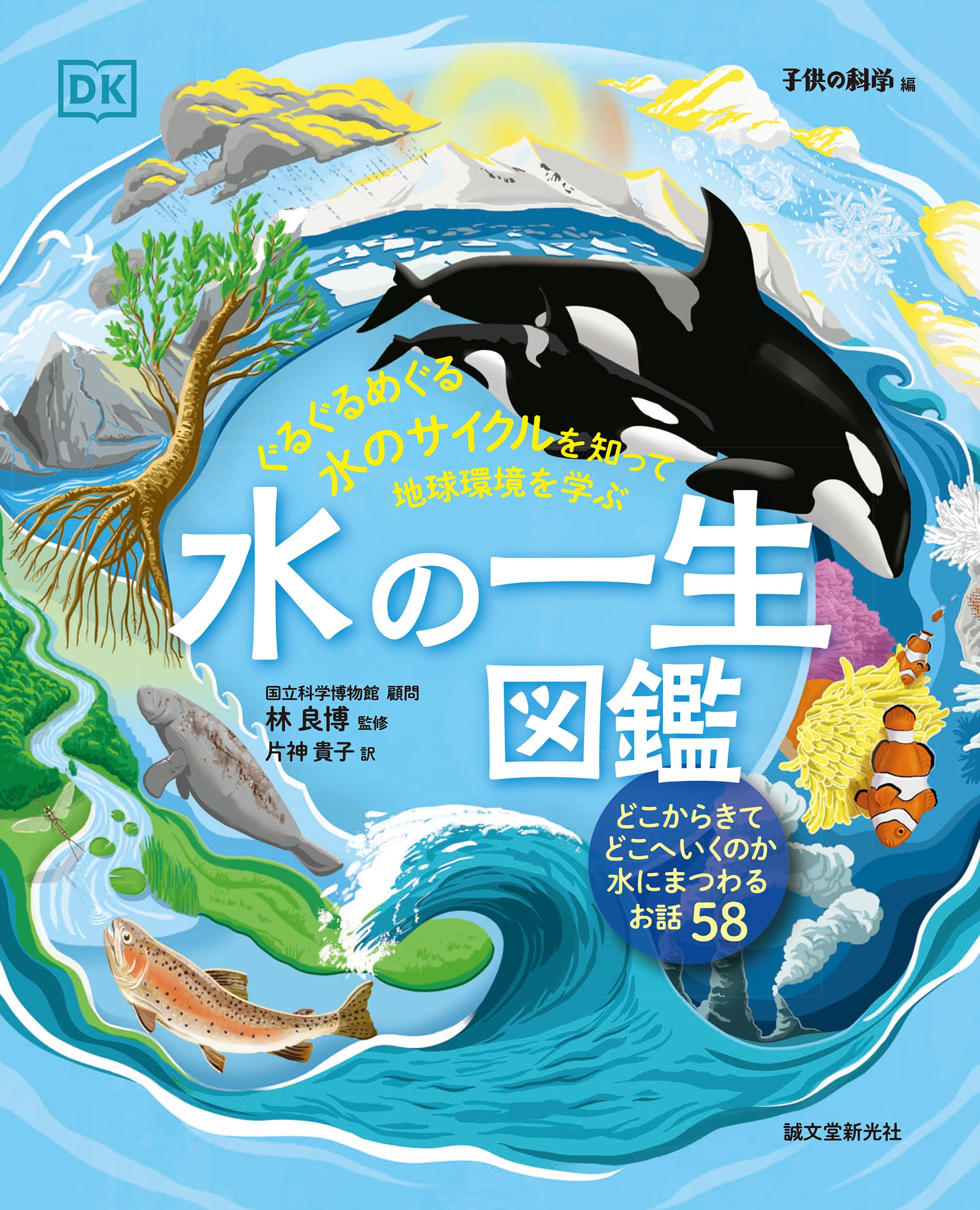 水田のはたらき (エコロジカル・ライフ) 株式会社ハタケホットケ