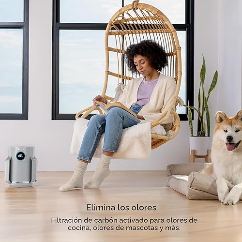 Miniatura 7 de Shark Purificador de aire para el hogar, NeverChange Compact Pro, para dormitorio, guardería, oficina en casa, dormitorio, filtro HEPA, captura