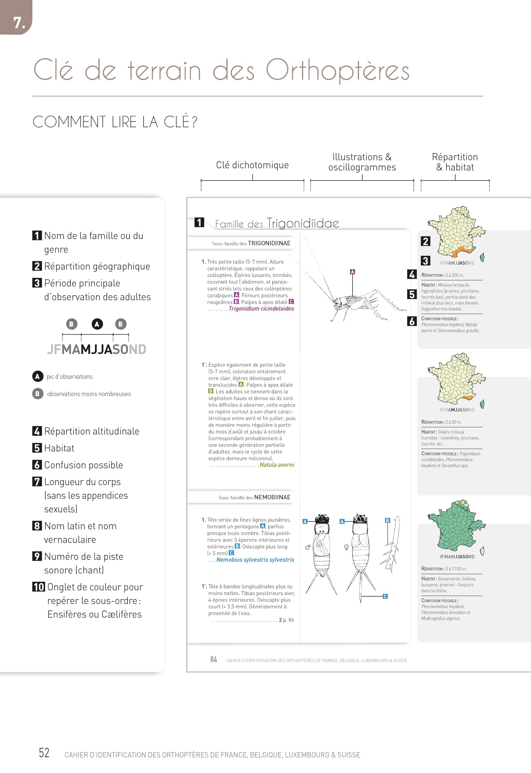 Cahier d'identification des Orthopteres France Belgique Luxembourg Suisse 2e edition: Toutes les espèces Sauterelles, Grillons & Criquets