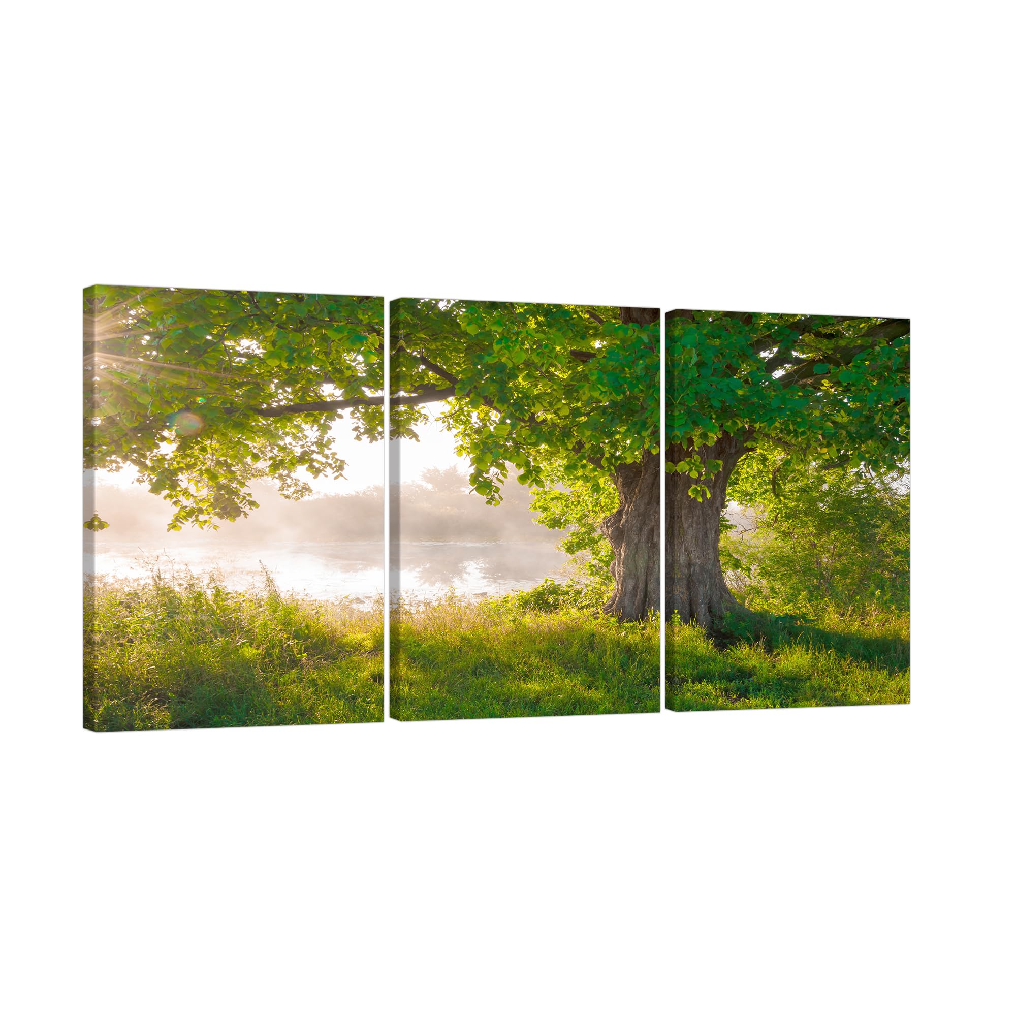 アートパネル 40×60cm×3pcs 森のポスター17 緑 森林 自然 風景 絵画