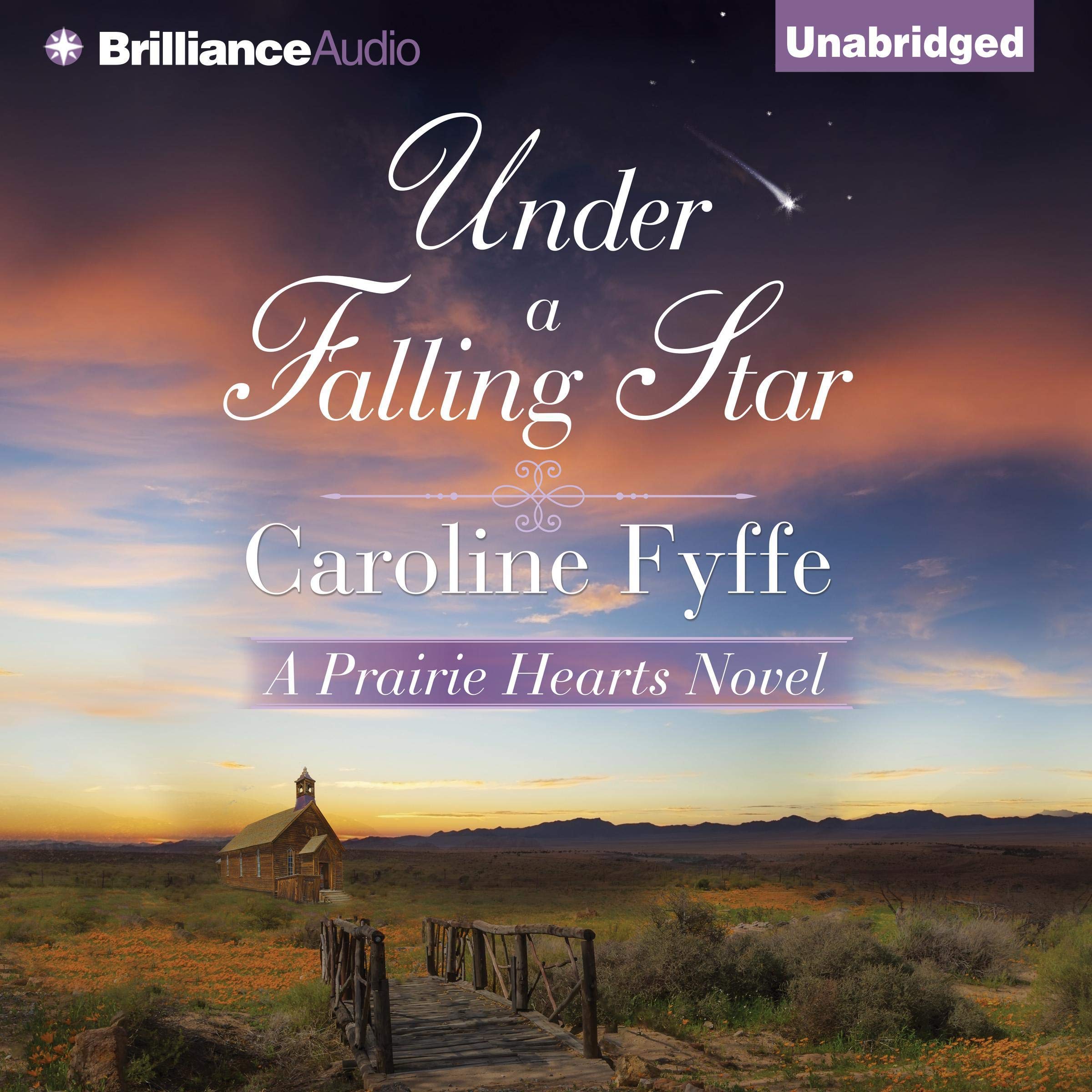 Cover art for Under a Falling Star
