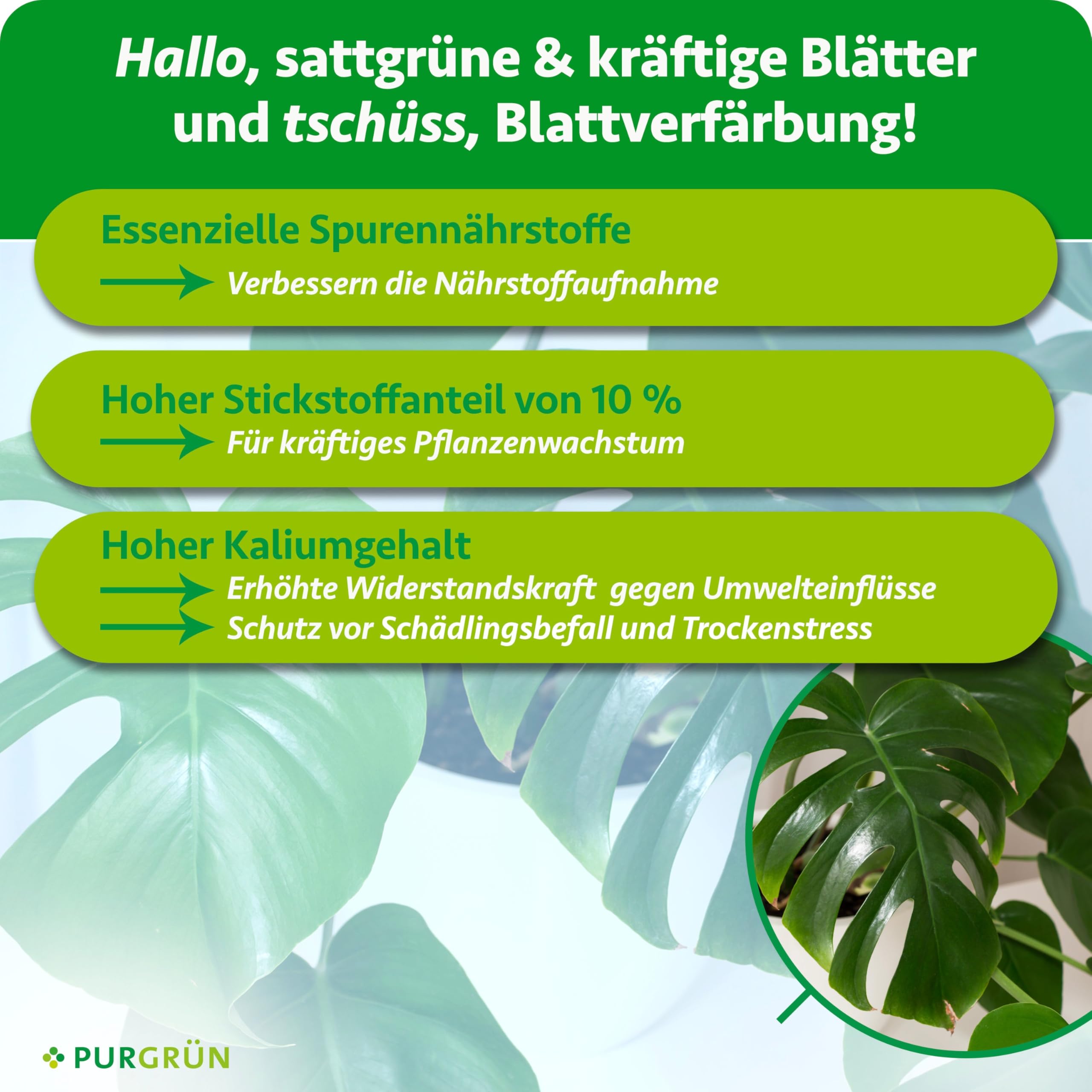 Monstera-Dünger 1 Liter – Schnelles Wachstum dank hohem Stickstoffgehalt – Spurennährstoffe für prächtige Blätter – Konzentrat für ca. 400 Liter Gießwasser – Premium-Flüssigdünger