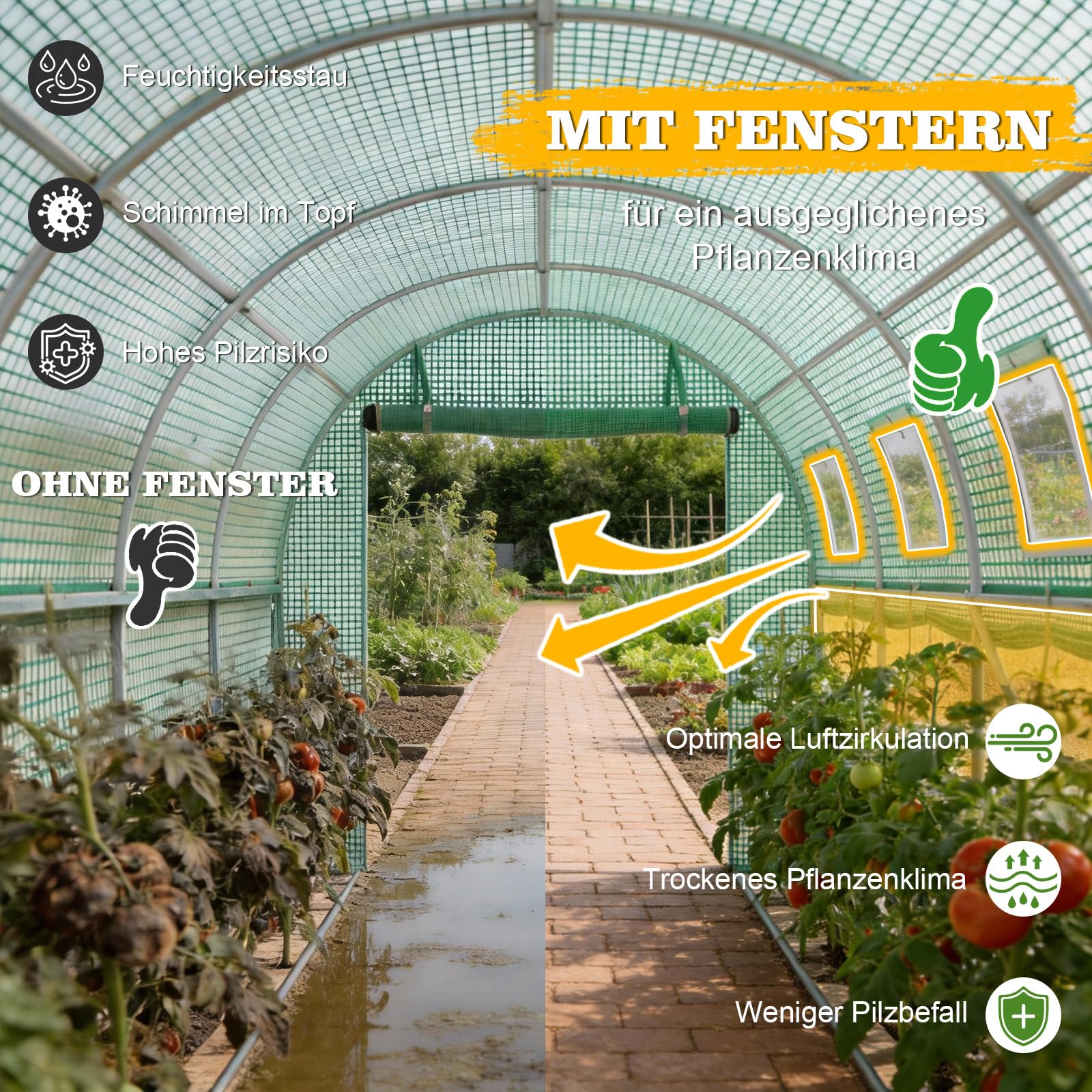 Soontrans Invernadero de 3 x 2 m, inicio protegido para cultivo y crecimiento temprano, túnel compacto con paredes laterales enrollables, rejilla de malla y puerta, estructura de acero, techo arqueado