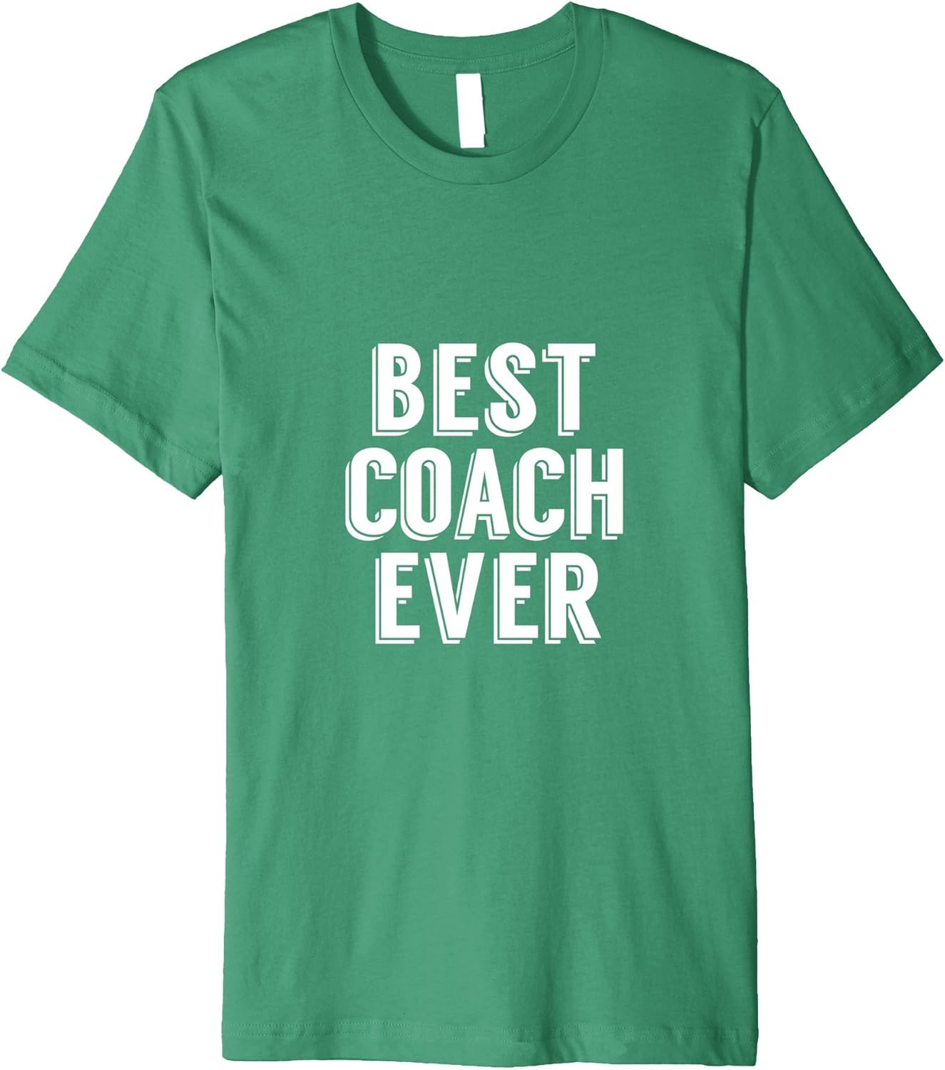 Best Coach Ever 2017 Mentor Appreciation Award Funny T Shirt Clothing, Shoes & Jewelry