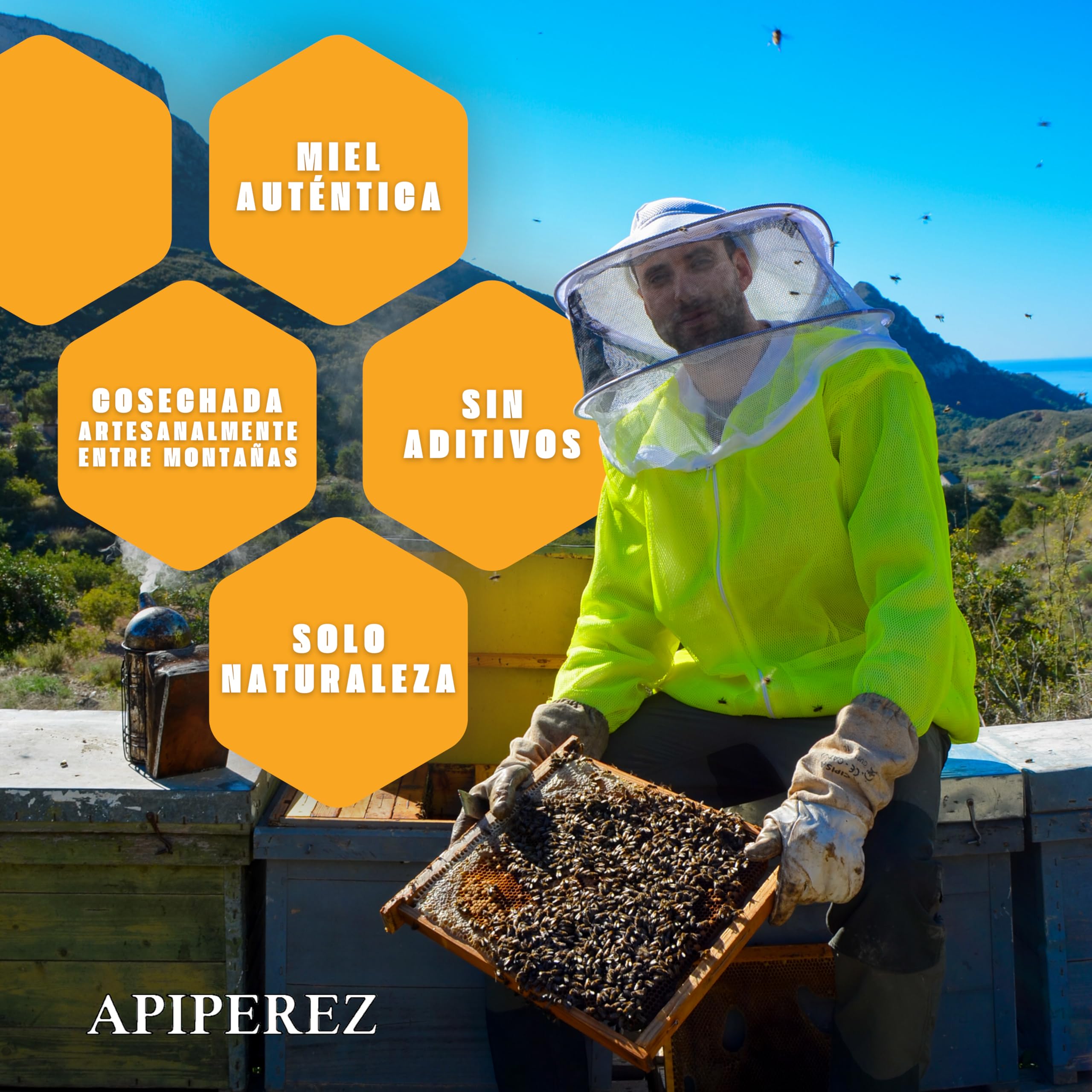 APIPEREZ Miel Cruda de Monte 1 kg – Miel Natural de Mielato, Antioxidante y Antimicrobiana – Sabor Intenso y Color Ámbar Oscuro