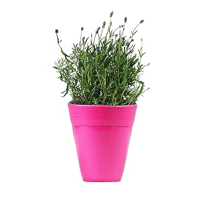 Sharpex Textured Style Plastic Pots |Plants Pots for Home Decor |Plants Pots for Home Garden |Plastic Flower Pots |Indoor/Outdoor Pots for Plants - Pink
