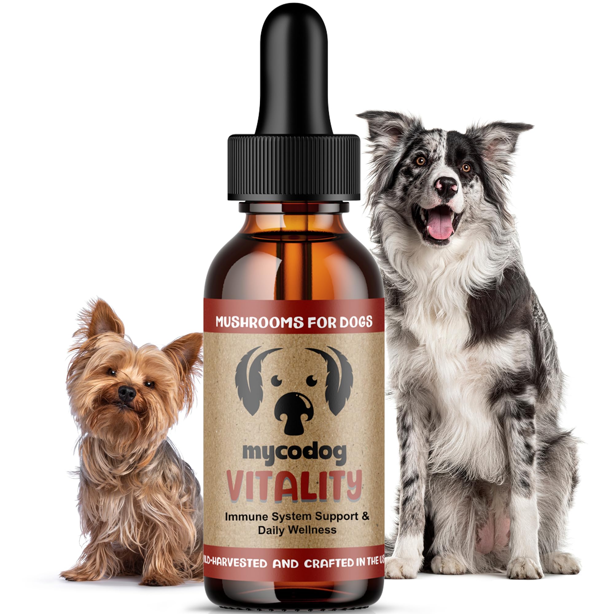 MycoDog Vitality Tincture