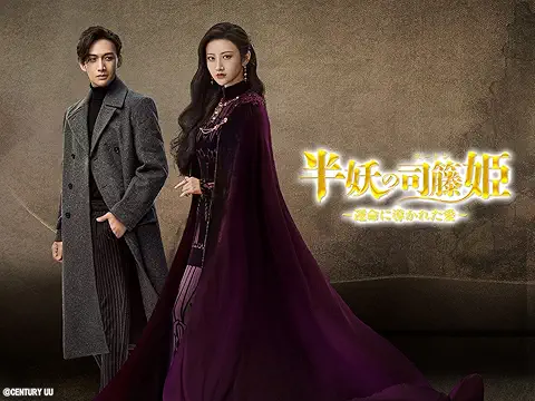 半妖の司籐姫