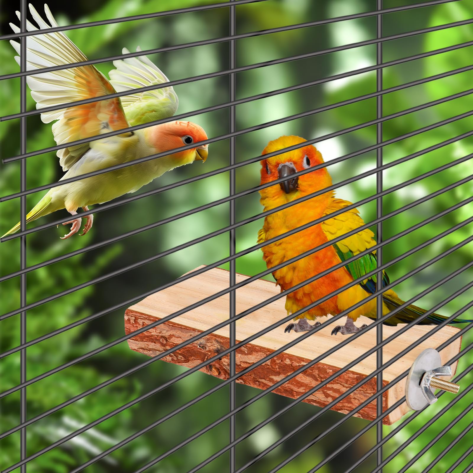 Thumbnail 4