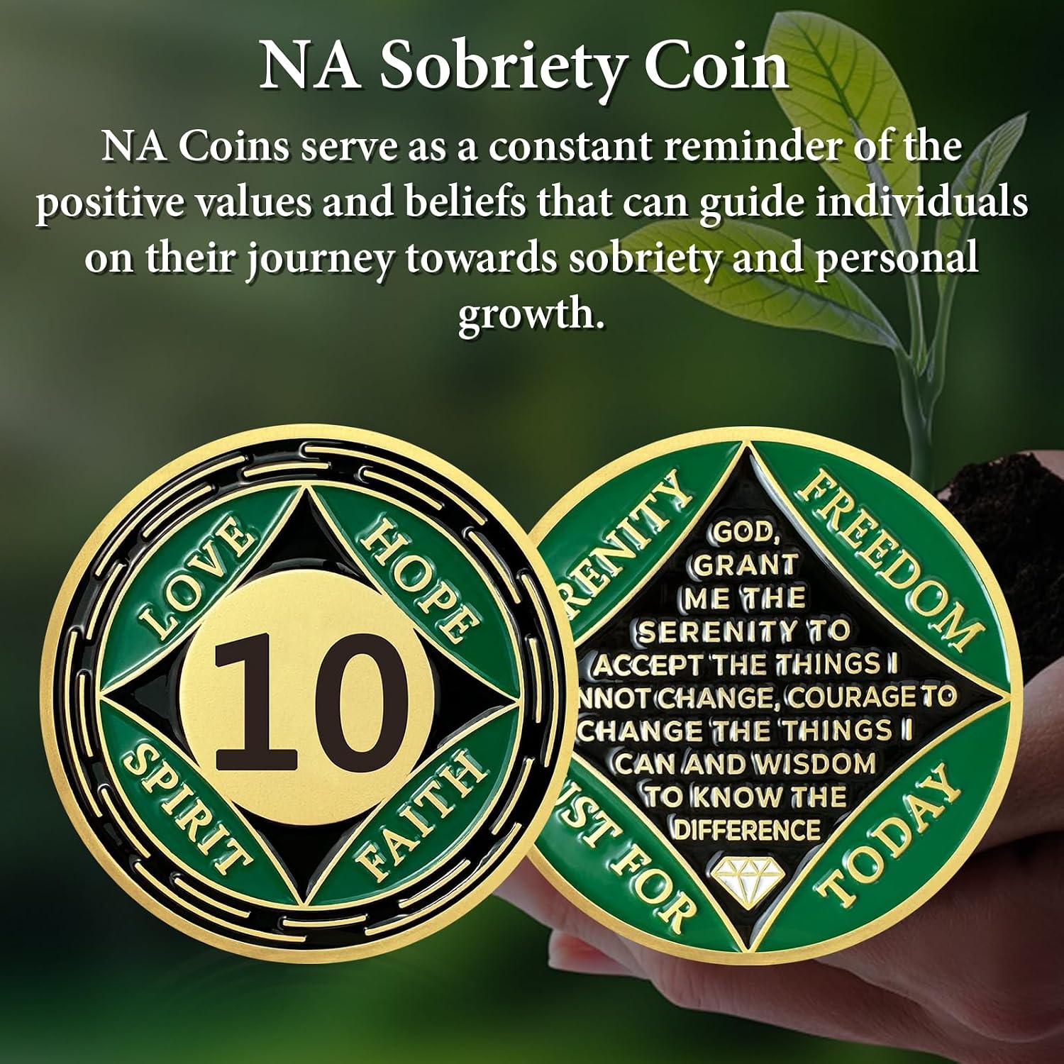 10 Year NA Medallions, Green 10 Year NA Coin Just for Today Sobriety Chips image 5