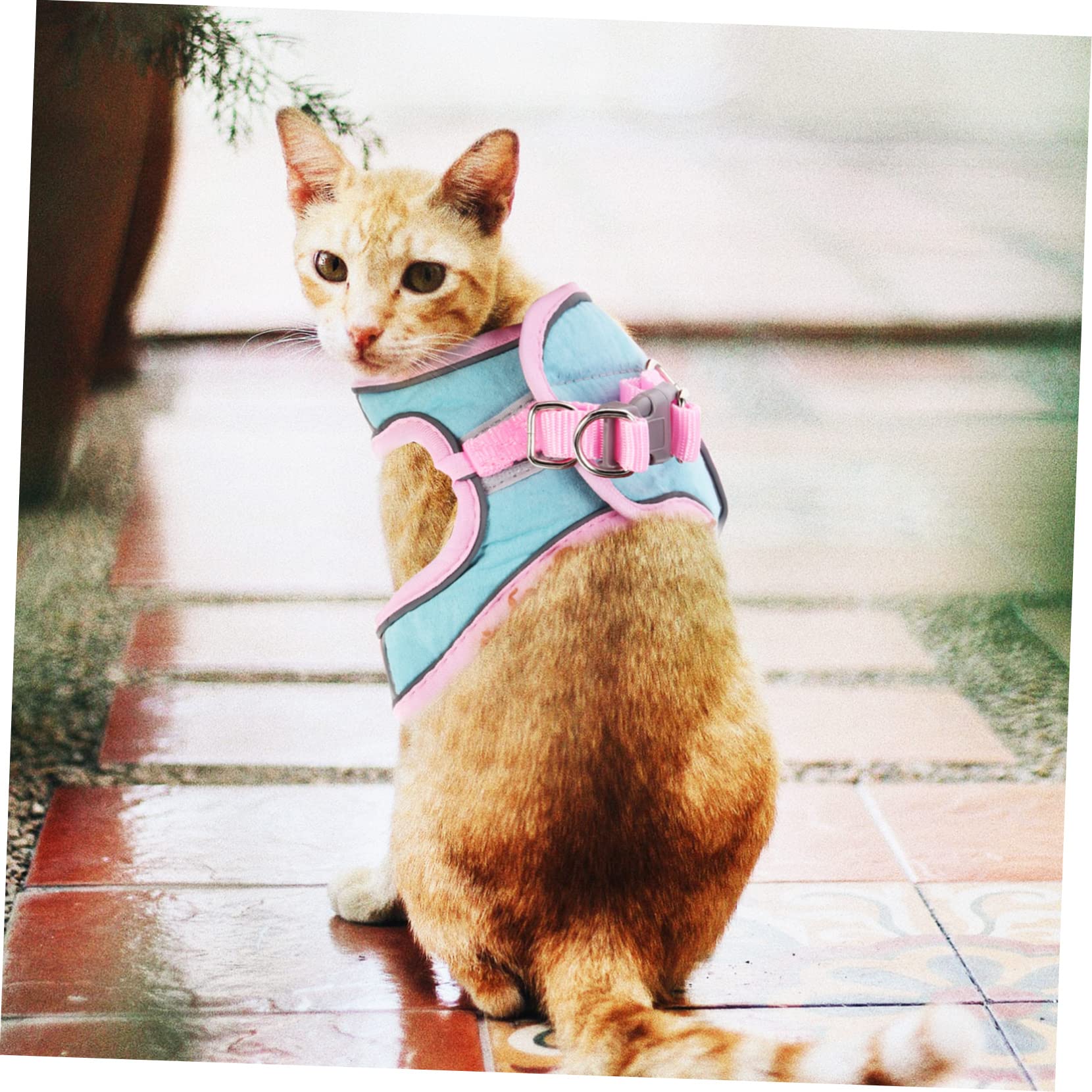 Yardwe 5sätze Einstellbares Katzen Geschirr Mit Reflektierendes Ausbruchsicheres Design Für Kleine Und Mittelgroße Katzen Für Und Teiliges Pastellfarben