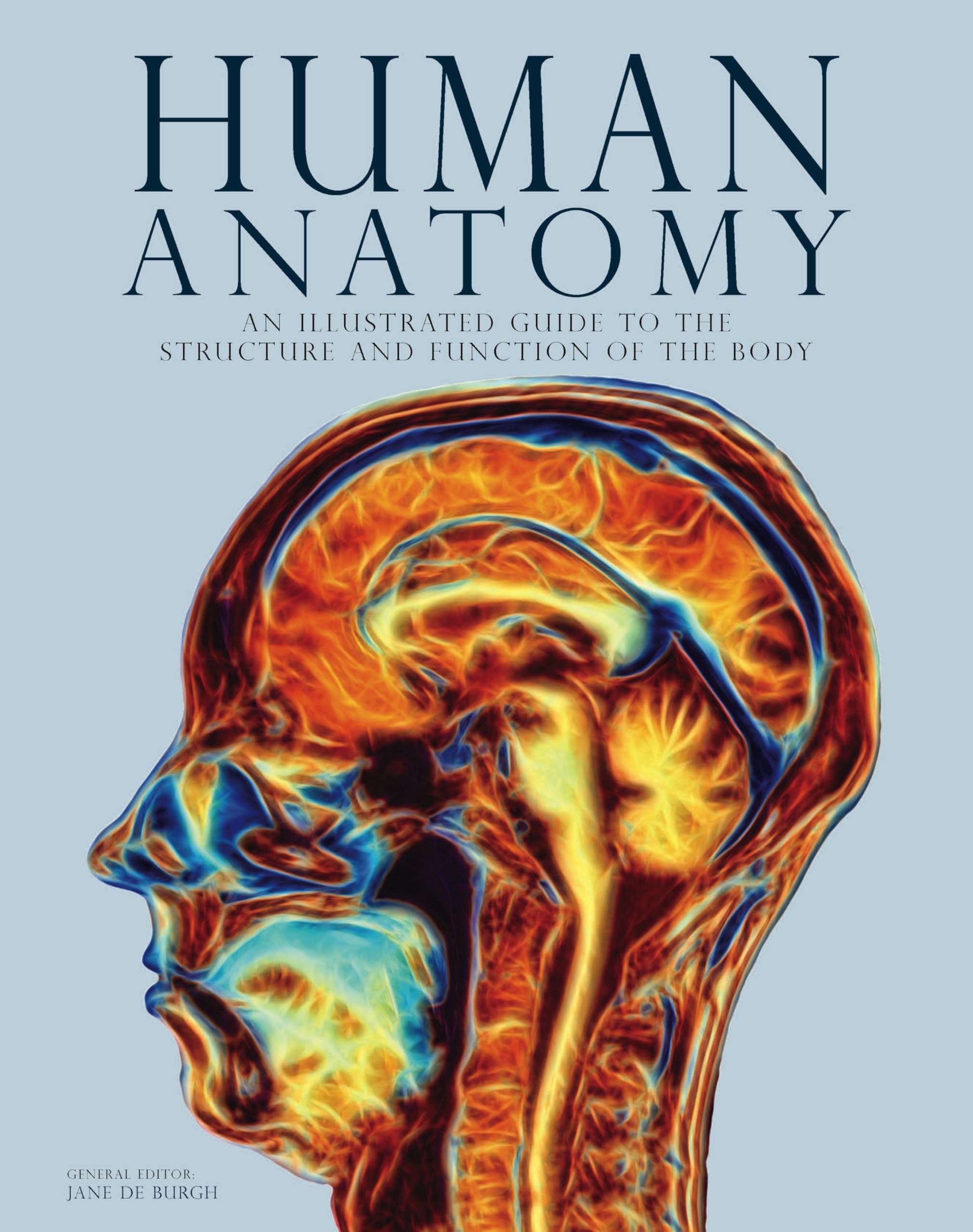 Human Anatomy by Jane de Burgh Hardback
