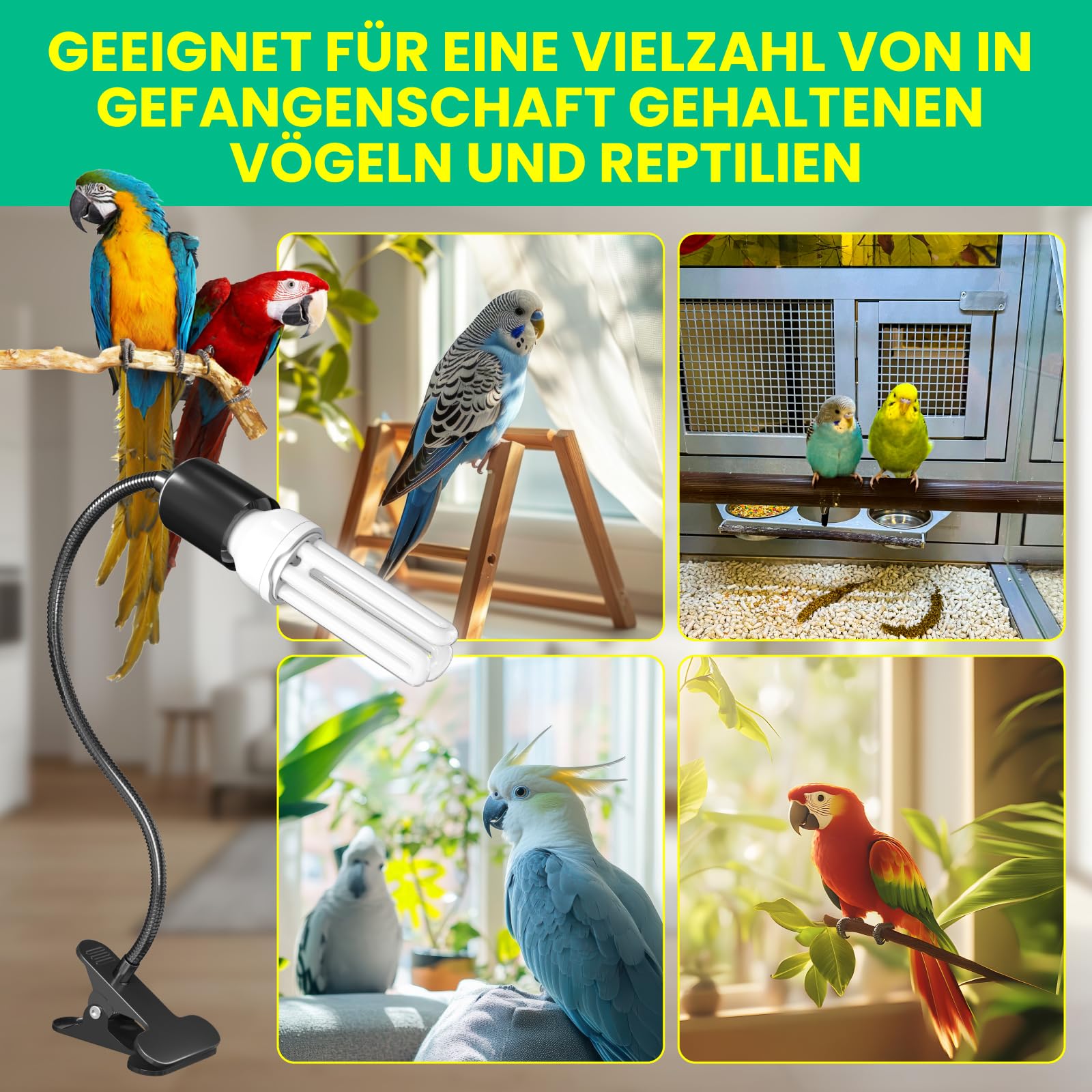 GlowUp UVB 2.4 Vogellampe mit Zeitschaltuhr, Klemmlampe mit 20W UVB 2.4 Glühbirne E27 UVB Licht Kombi Set für Vogel mit Timer