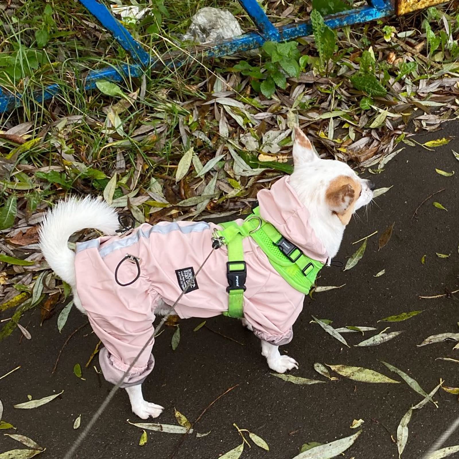 Imperméable pour Chien, Cordon de Serrage réglable Veste de Pluie pour Chien Tout Compris Combinaison Chiots à Capuche Poncho de Pluie avec Bande réfléchissante (Pink XXL)