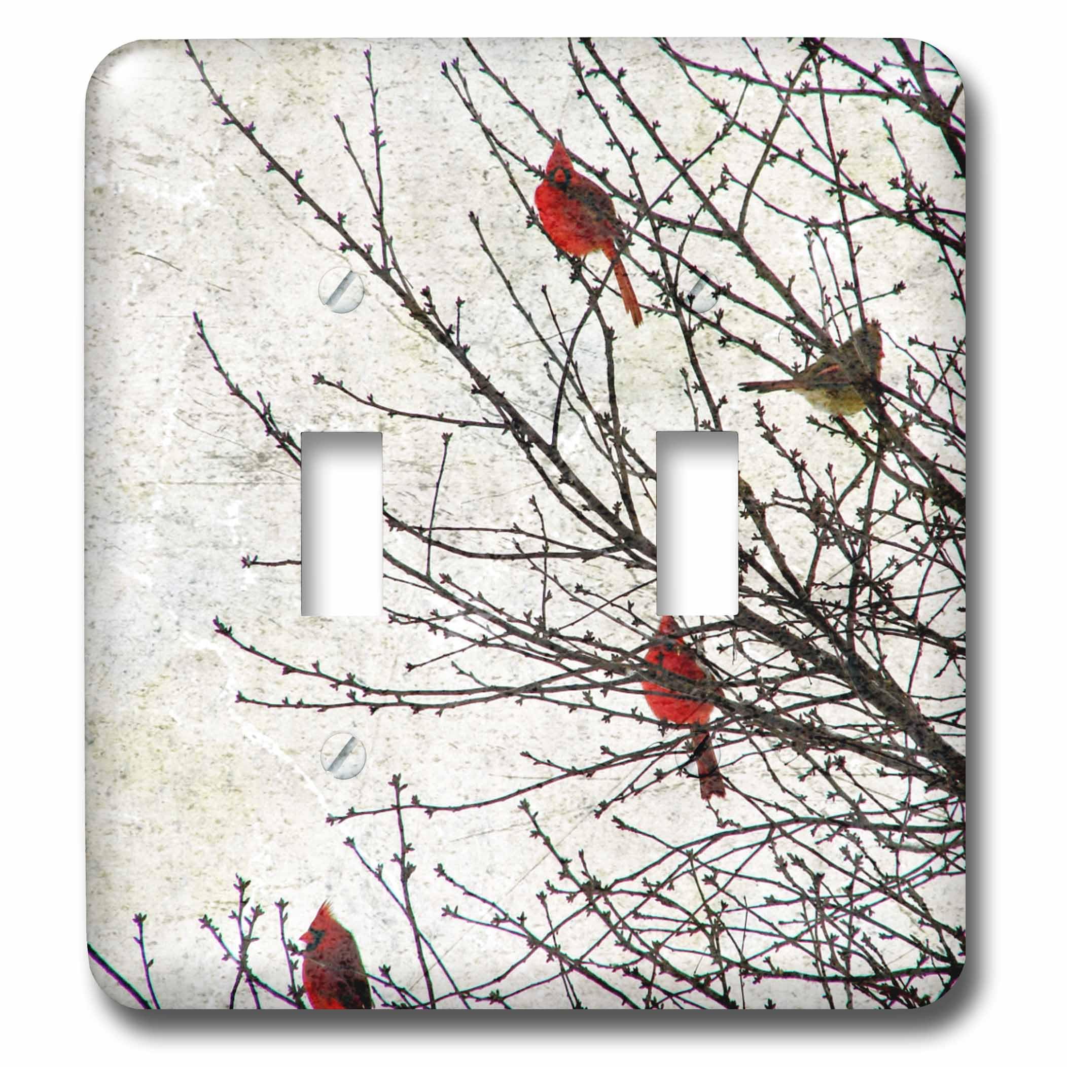 Double interrupteur à bascule décor oiseaux pour salon et chambre