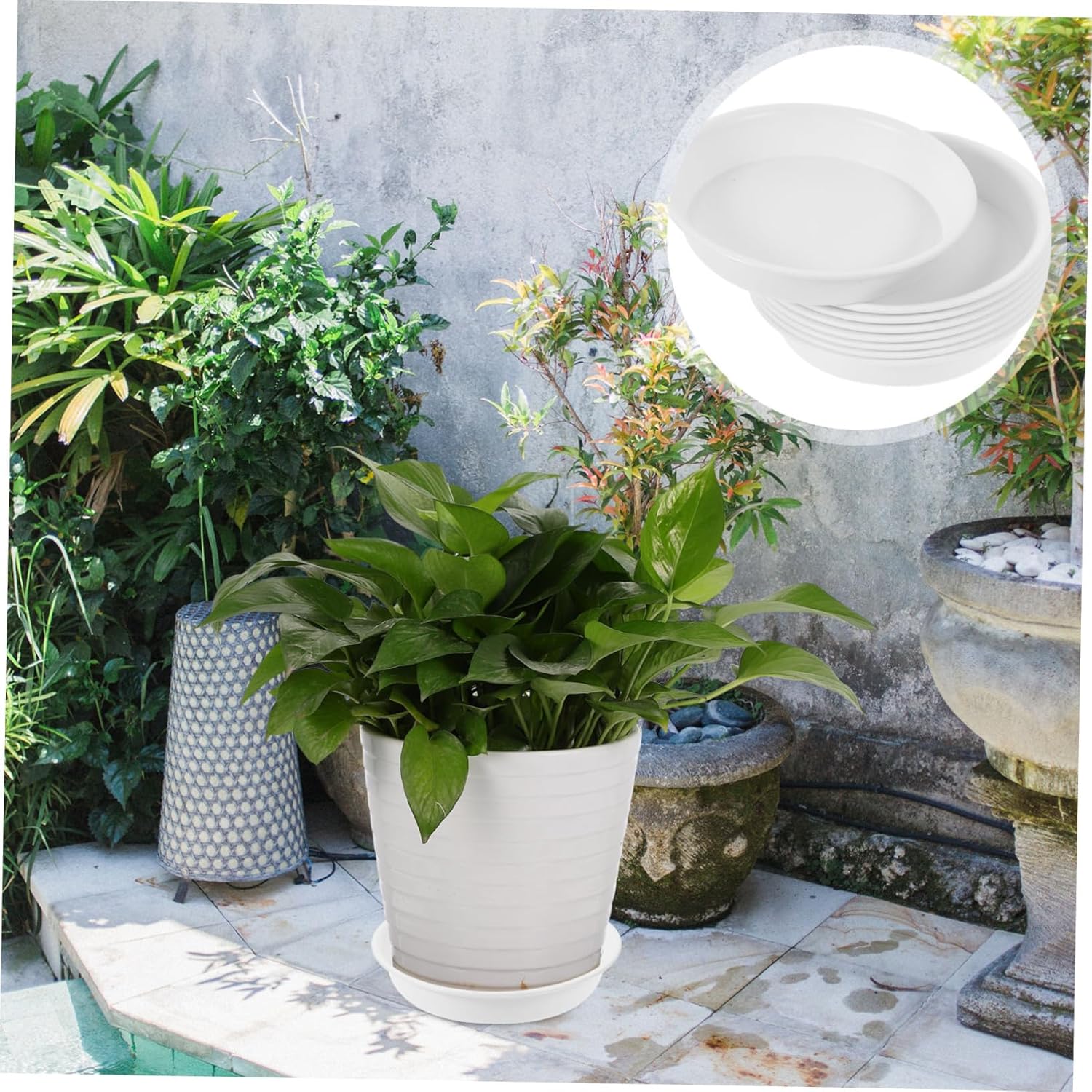 HEMOTON 5sets Round Flowerpot Tray Durable Plant Saucer for Pots Thick Drip Tray for Use Outer for Gardening Projects and Home Decor 8pcs*5