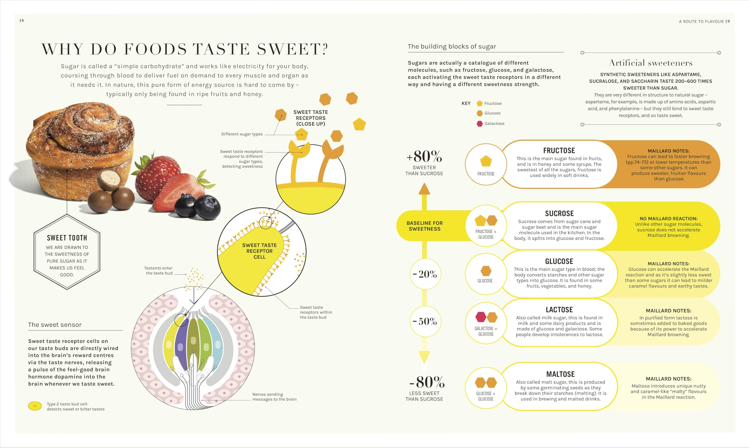 The Science of Flavour: Unlock the Secrets of Flavourful Cooking