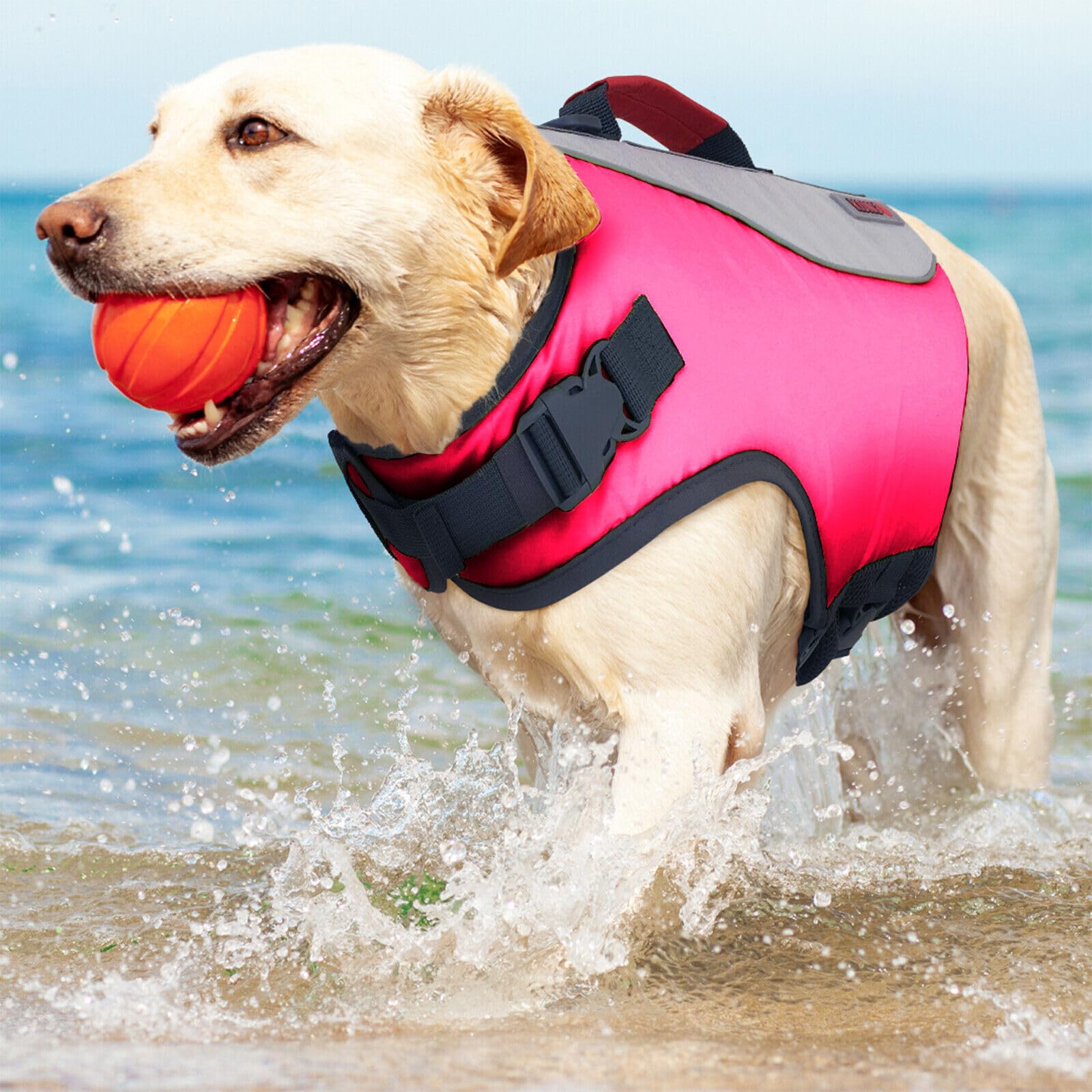 Golden Retriever Kong Aquapro Dog Life Vest Small Dog Life Jackets