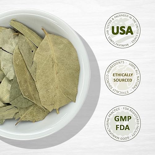 Miniatura 4 de Eucalipto Hojas de Eucalipto Hierba 4 oz. Eucalipto, cinta de goma, goma brillante  Bolsa resellable de pie para garantizar la frescura