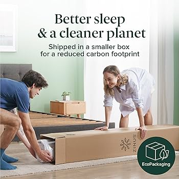 Amazon.com: ZINUS 6 Inch Foam and Spring Hybrid Mattress
