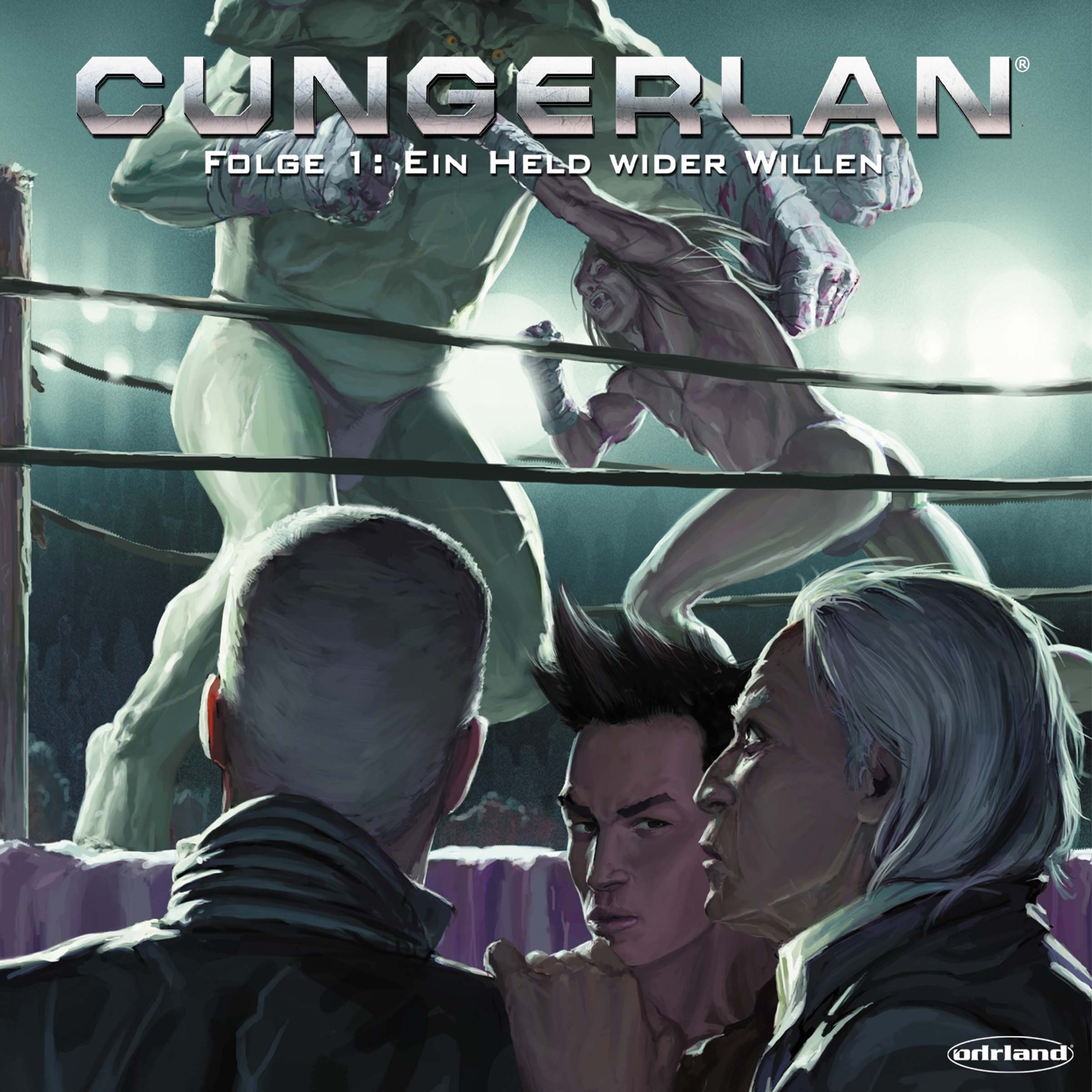 Cover art for Ein Held wider Willen
