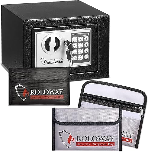ROLOWAY Caja fuerte de acero para dinero pequeña con bolsa de dinero ignífuga para dinero en efectivo y bolsas de dinero ignífugas (paquete de 2