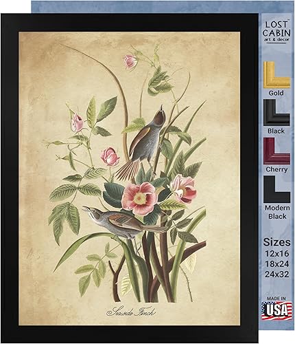 Vista 34 de Towee Bunting by James Audubon - Marco biselado negro de 12 x 16 pulgadas, decoración artística enmarcada para pared, reproducción de pinturas