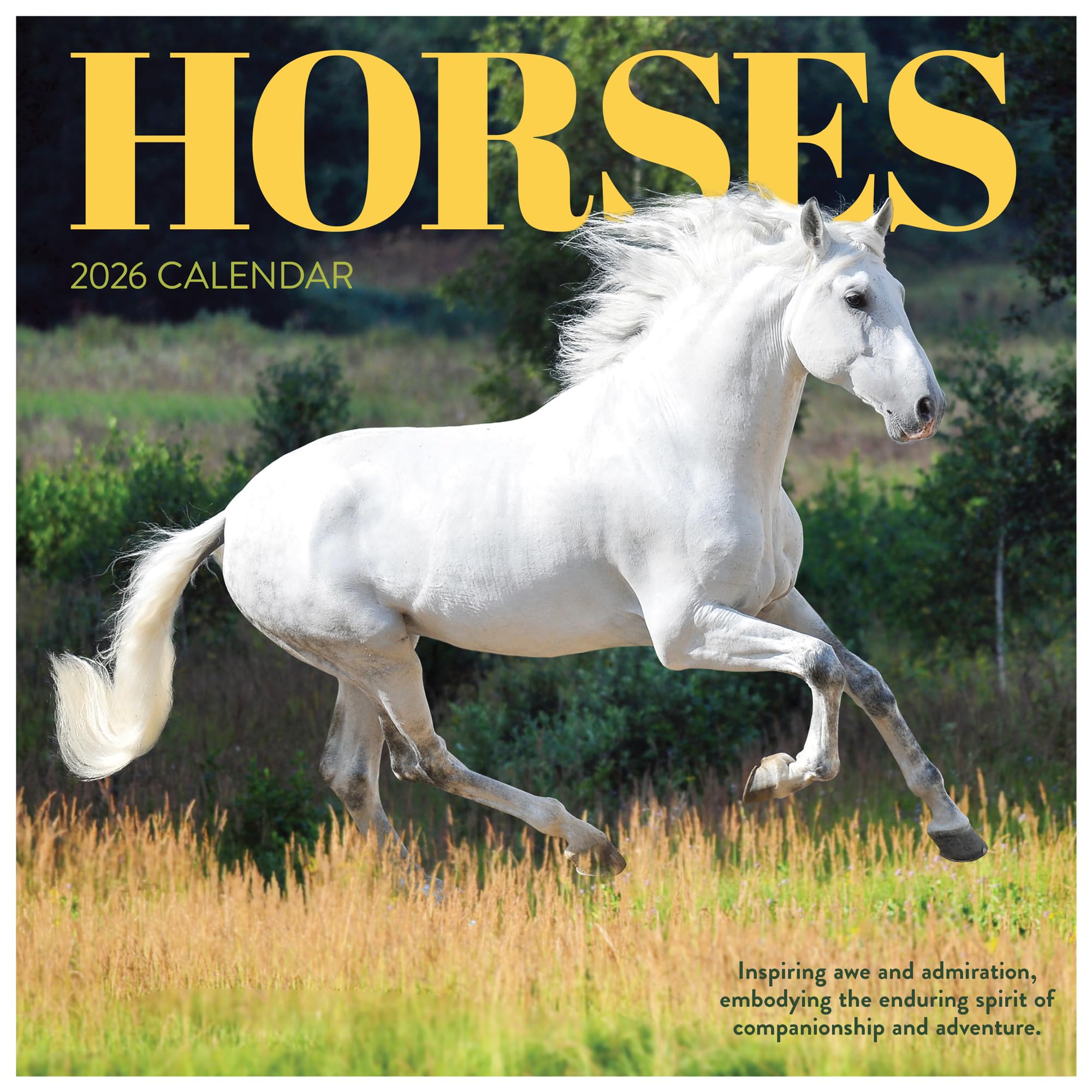 TF Publishing 2026 Horses Wall Calendar - Large Grids for Appointments and Scheduling - Vertical Monthly Wall Calendar 2026 with Premium Gloss Paper