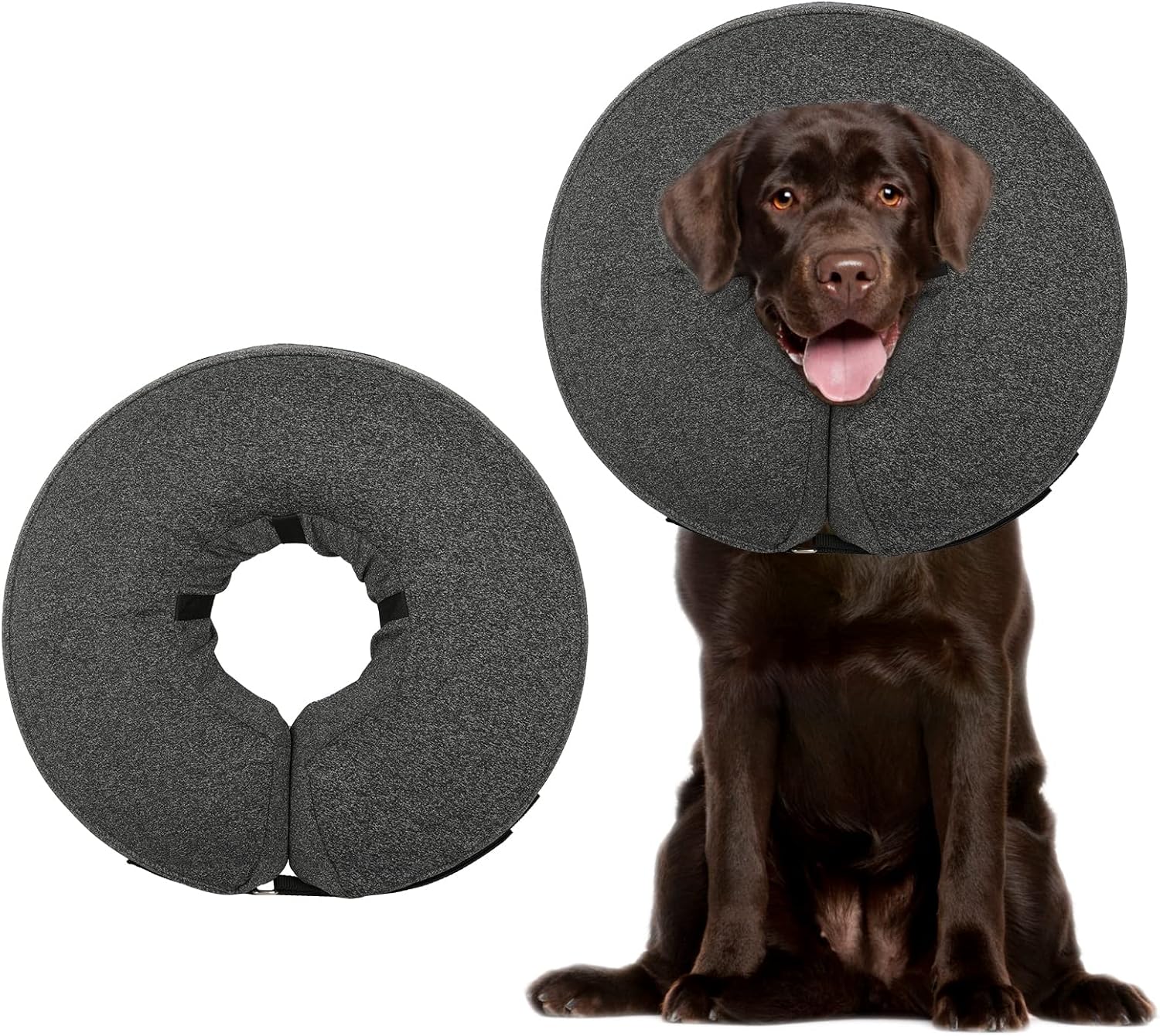 Elizabethan collar for dogs