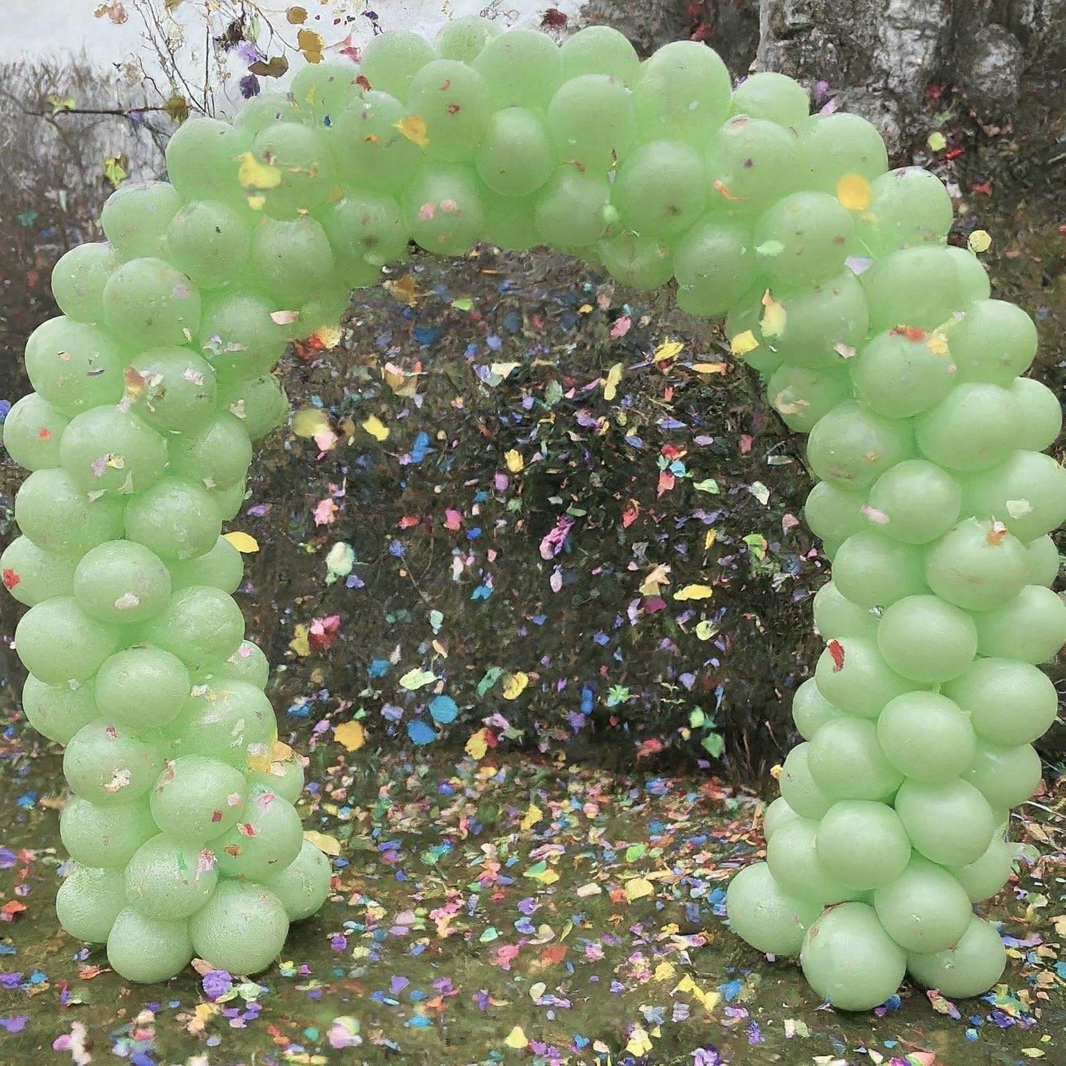 AMFIN (Pack of 50) Pastel Birthday Decoration Item Balloons - Green 3