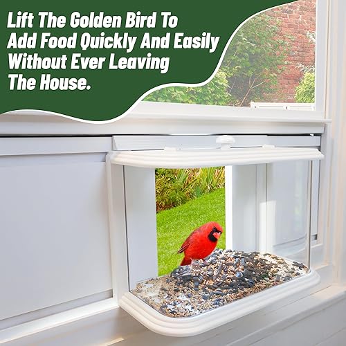 Miniatura 6 de VIROTEE Comedero para pájaros con ventana en el interior de la casa para ver, vista clara, Winodw, inserto para interiores, observa pájaros