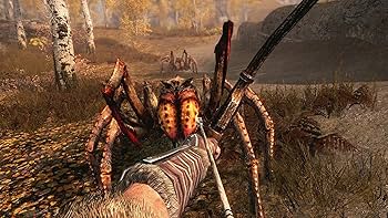 Amazon.com: Switch Title 8 - : Nintendo of America: Video Games