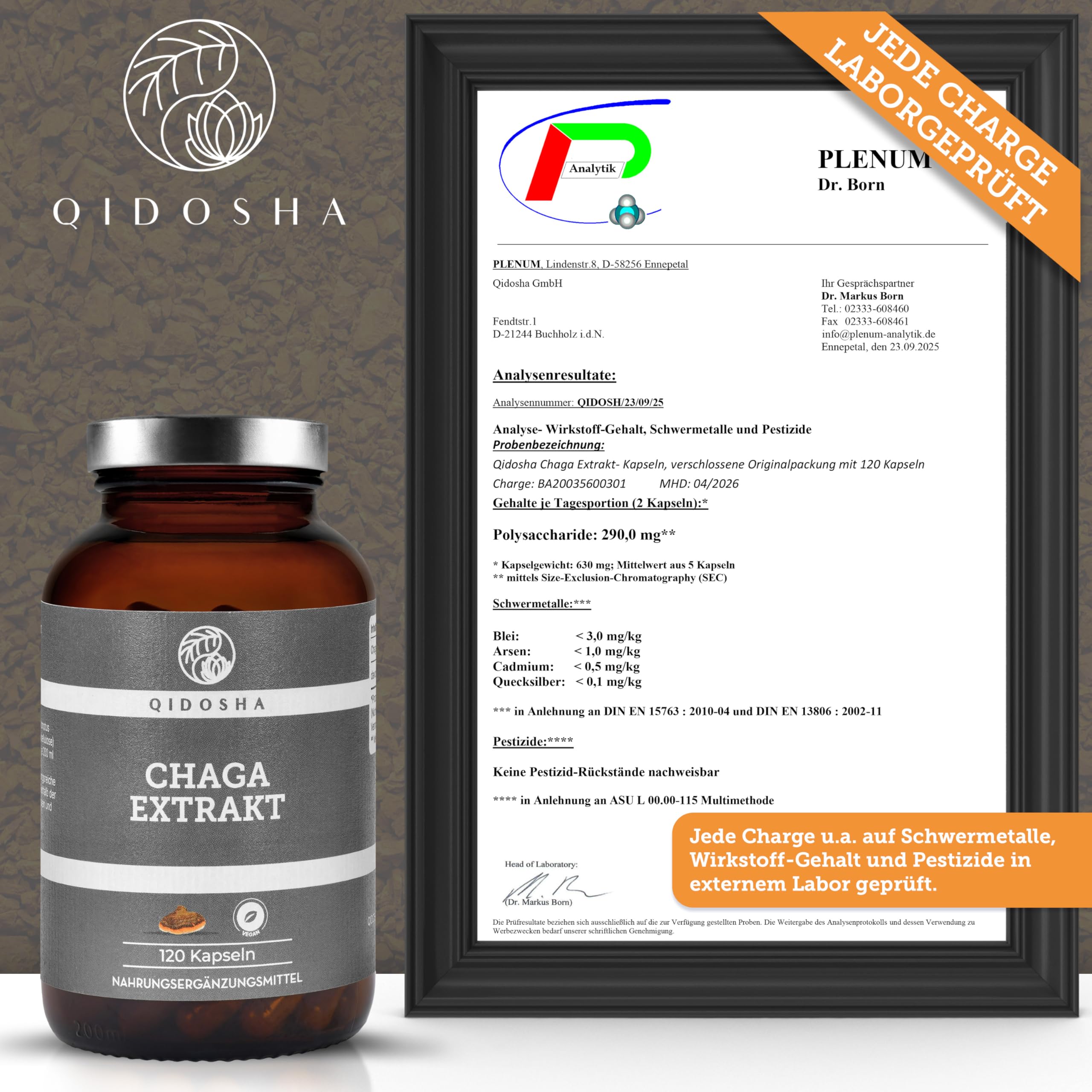 QIDOSHA® Chaga Extrakt Kapseln hochdosiert, 120 Stk im Glas (kein Plastik), 1000 mg Schiefer Schillerporling Extrakt pro Tagesdosis, Chaga Pilz Kapseln hochdosiert, aus Wildsammlung von Birken