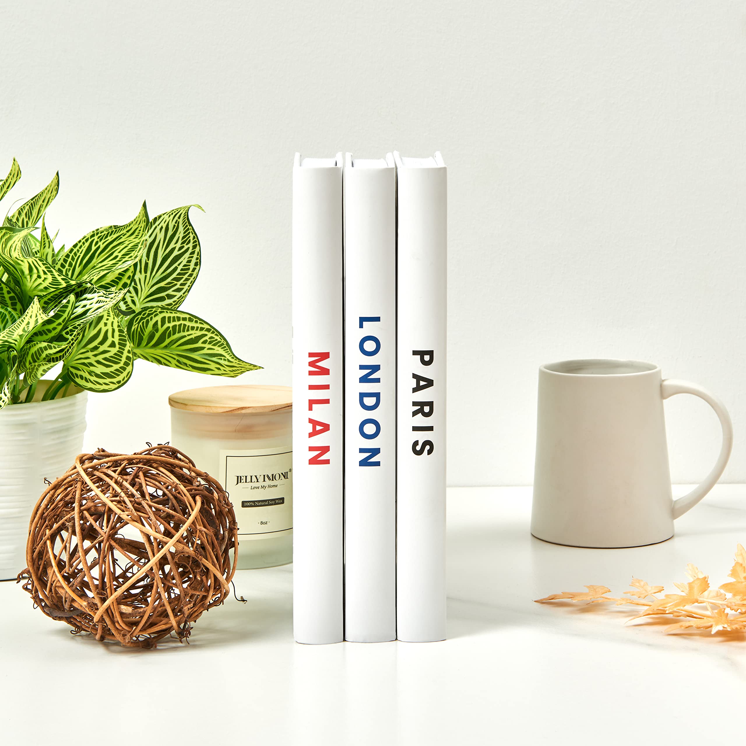 Luttic DesignerSet mit 3 künstlichen Büchern, ideal für Couchtisch, Regale. Hardcover, 22,9 x 15,2 cm, buntes ReiseThema, 120 leere Seiten, hochwertige, matte Oberfläche mit auffälligem, leicht zu