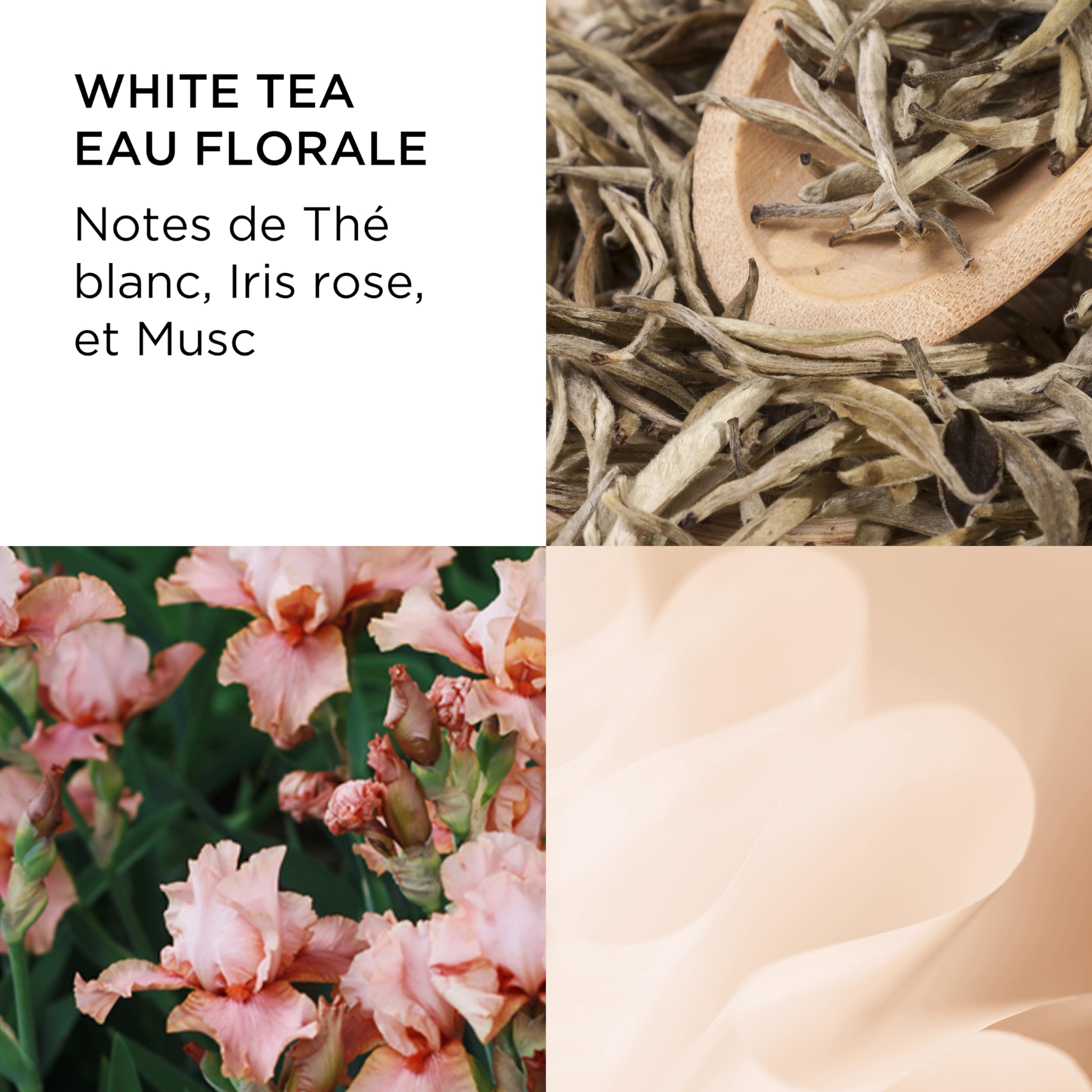 Elizabeth Arden, Coffret White Tea, Parfum fleuri et vif, 3 miniatures de 10ml, Eau de Parfum, Eau de Toilette, Floral, Cadeau femme