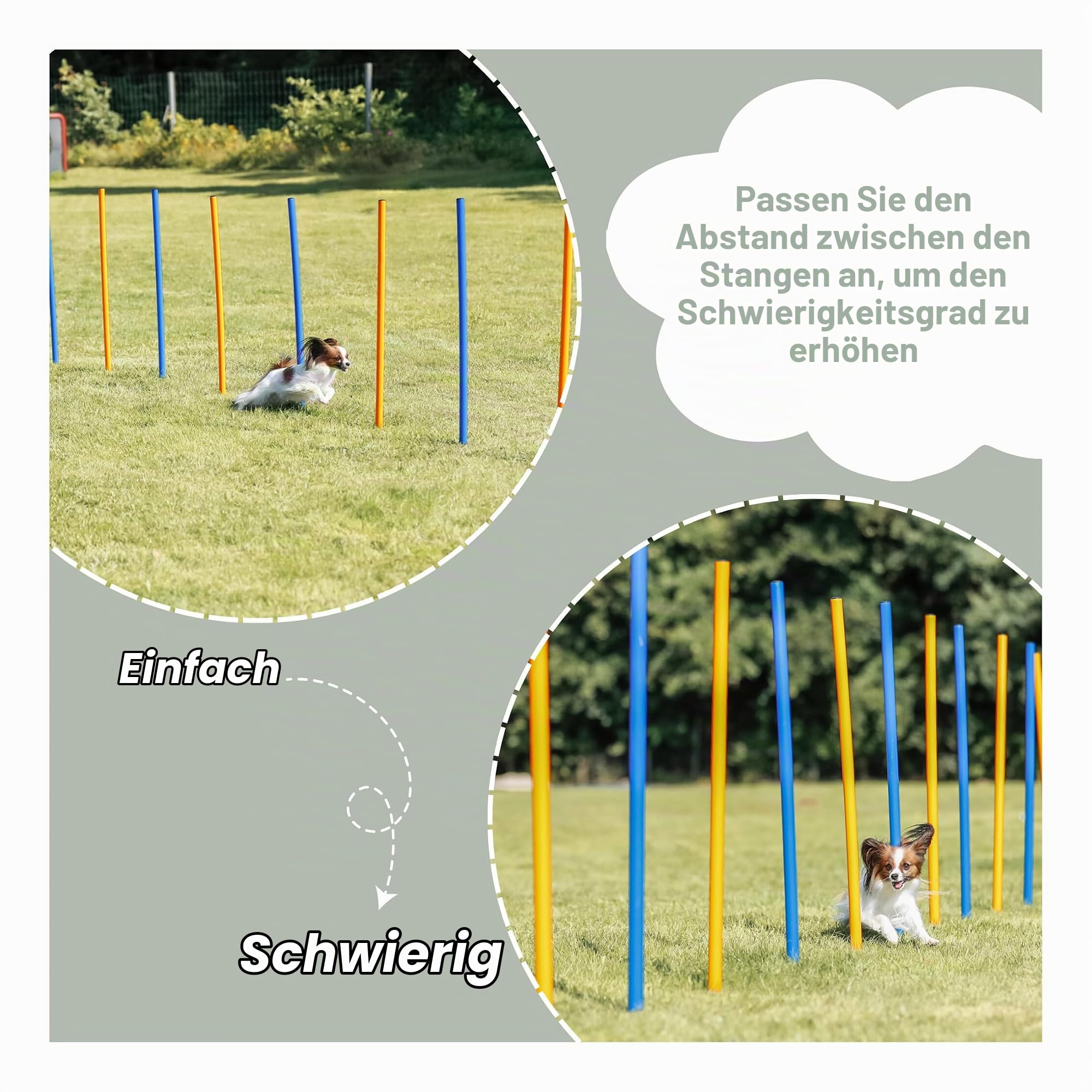 TRIXIE Hunde Agility Slalom-Set mit 12 Stangen – für Einsteiger & Profis | Fördert Geschicklichkeit und Tempo beim Slalomlauf – schneller Auf- und Abbau, ideal für das Training im Garten
