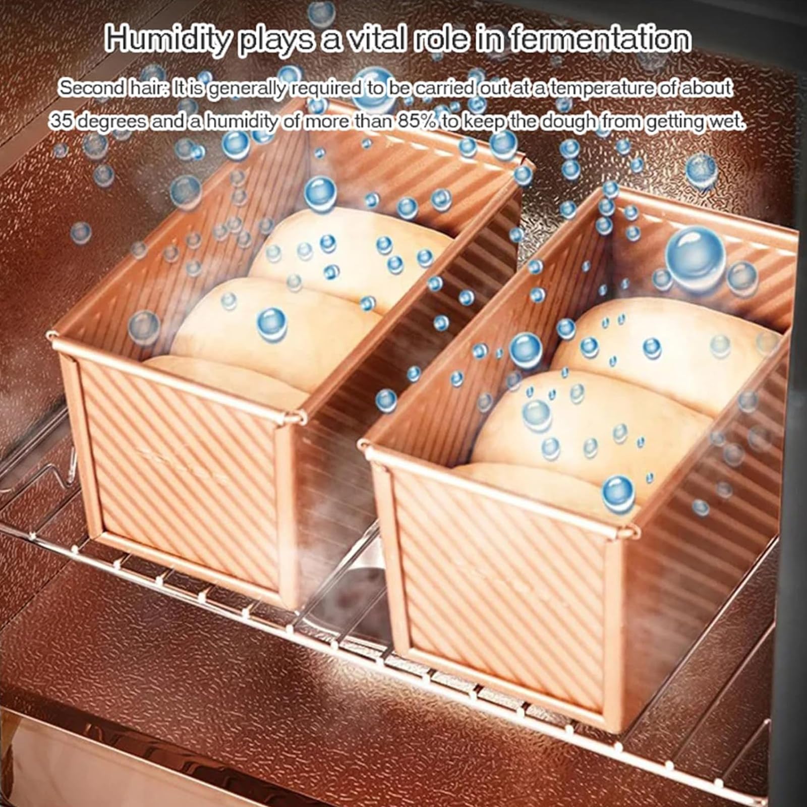 Scatola per Lievitazione del Pane 40 L 260W | Lievitatore Elettrico con Controllo umidità | per Lievito Madre, Pizza & Yogurt | Temperatura Regolabile 20-50℃ | Ideale per Casa