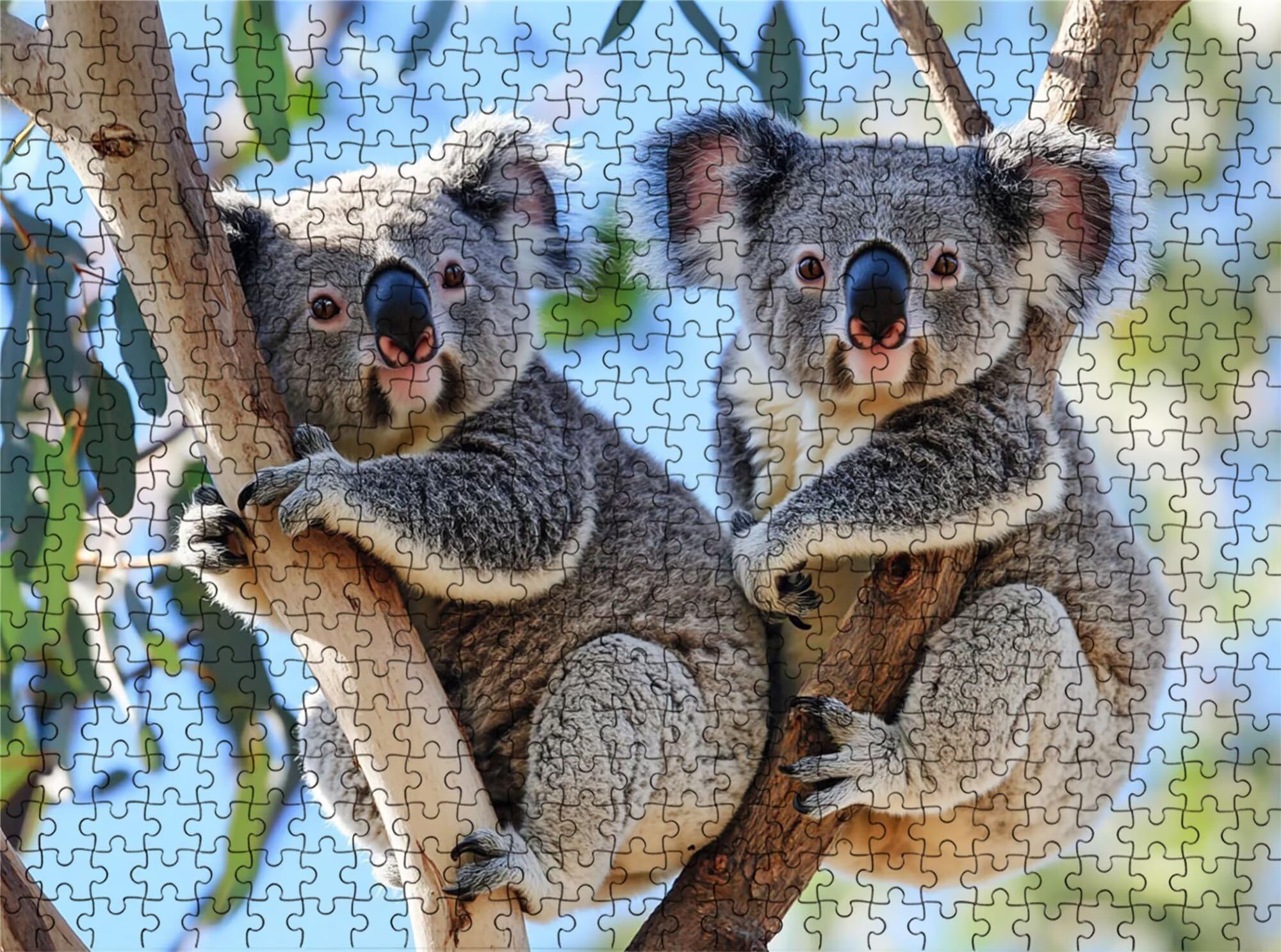 Puzzle 2000 elementów, oddziały Koala Puzzle 2000 elementów dla dorosłych i dzieci, wysokiej jakości puzzle artystyczne, 99,5x70,5 cm Klasyczna gra Puzzle dla dorosłych, prezent dla kobiety/mężczyzny