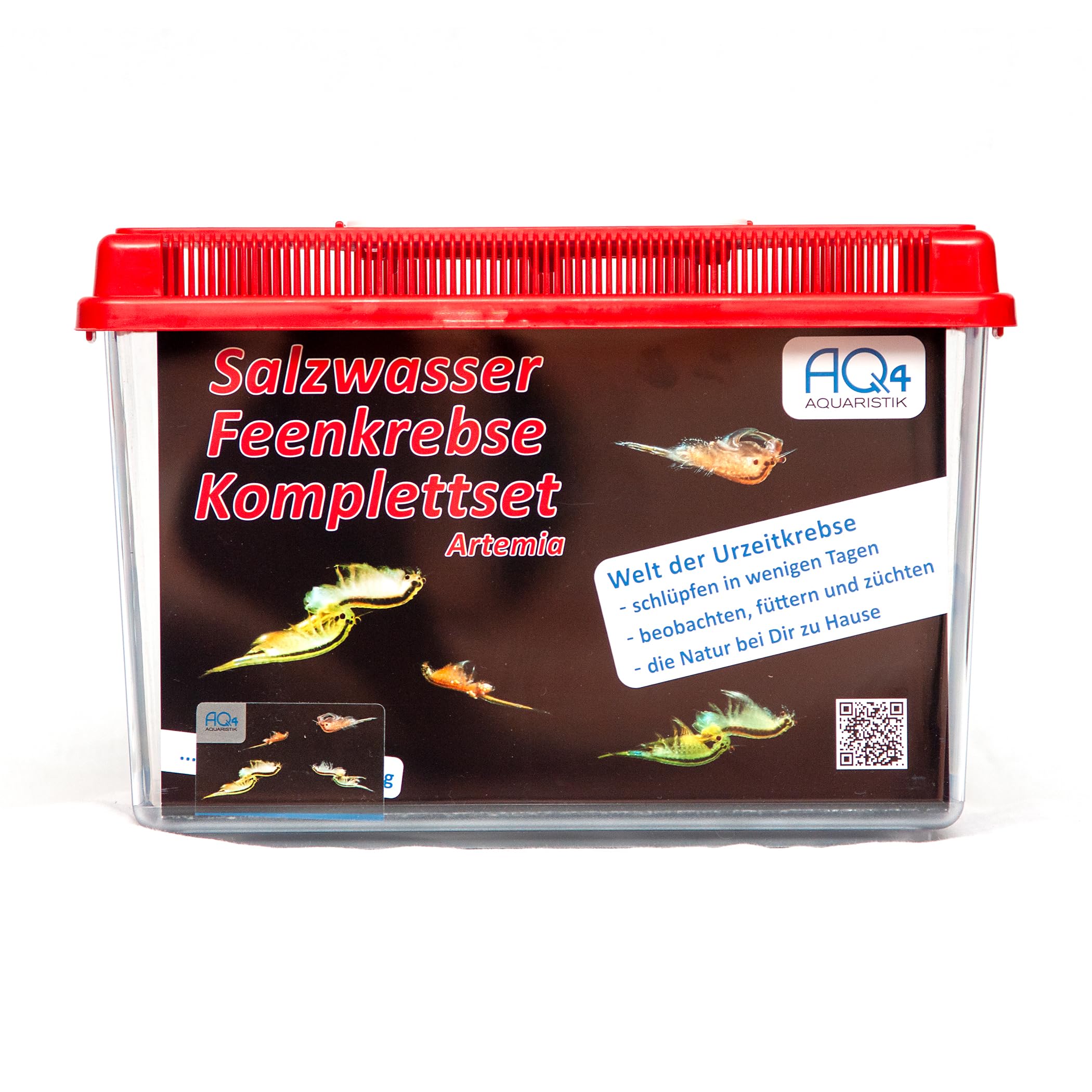 Premium Salzwasser Feenkrebse Artemia Komplettset 6 Liter: Zuchtansatz, Premiumsalz, Futter, Anleitung- Urzeitkrebse, Artemia franciscana