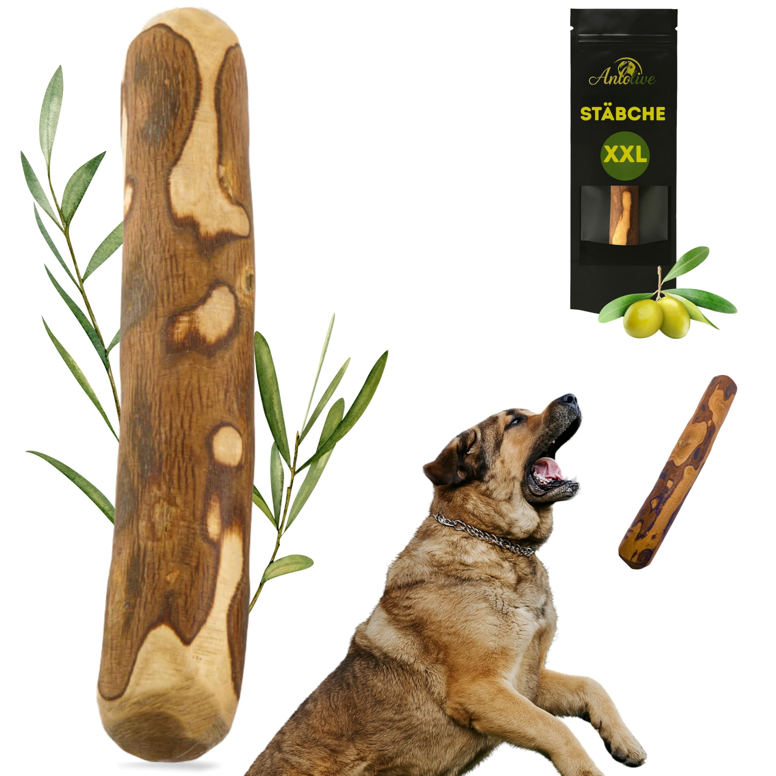 Anlolive | Natürlicher Kaustick Größe XXL 37 cm | Für Große und Riesen Hunde | Olivenholz-Stick | Widerstandsfähiges, Sicheres und Gesundes Spielzeug | Zahnpflege und Stresslinderung