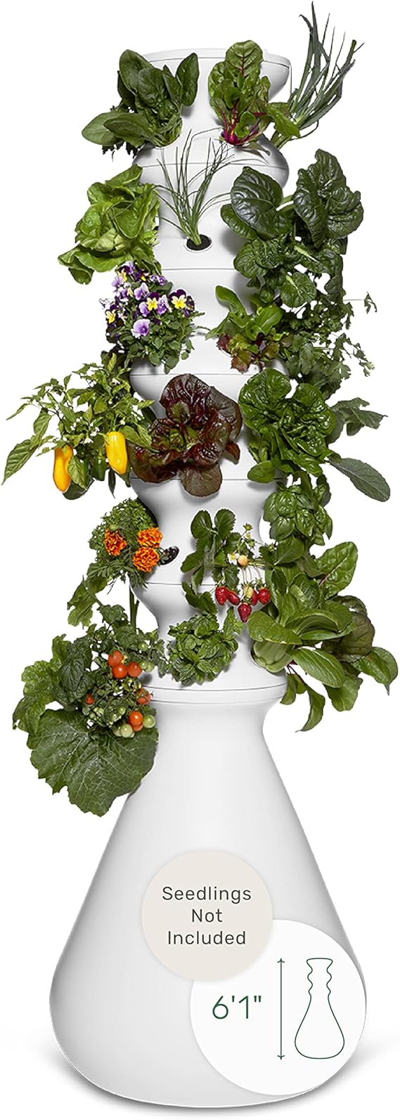 Lettuce Grow Farmstand 36Plant Hydroponic Growing System