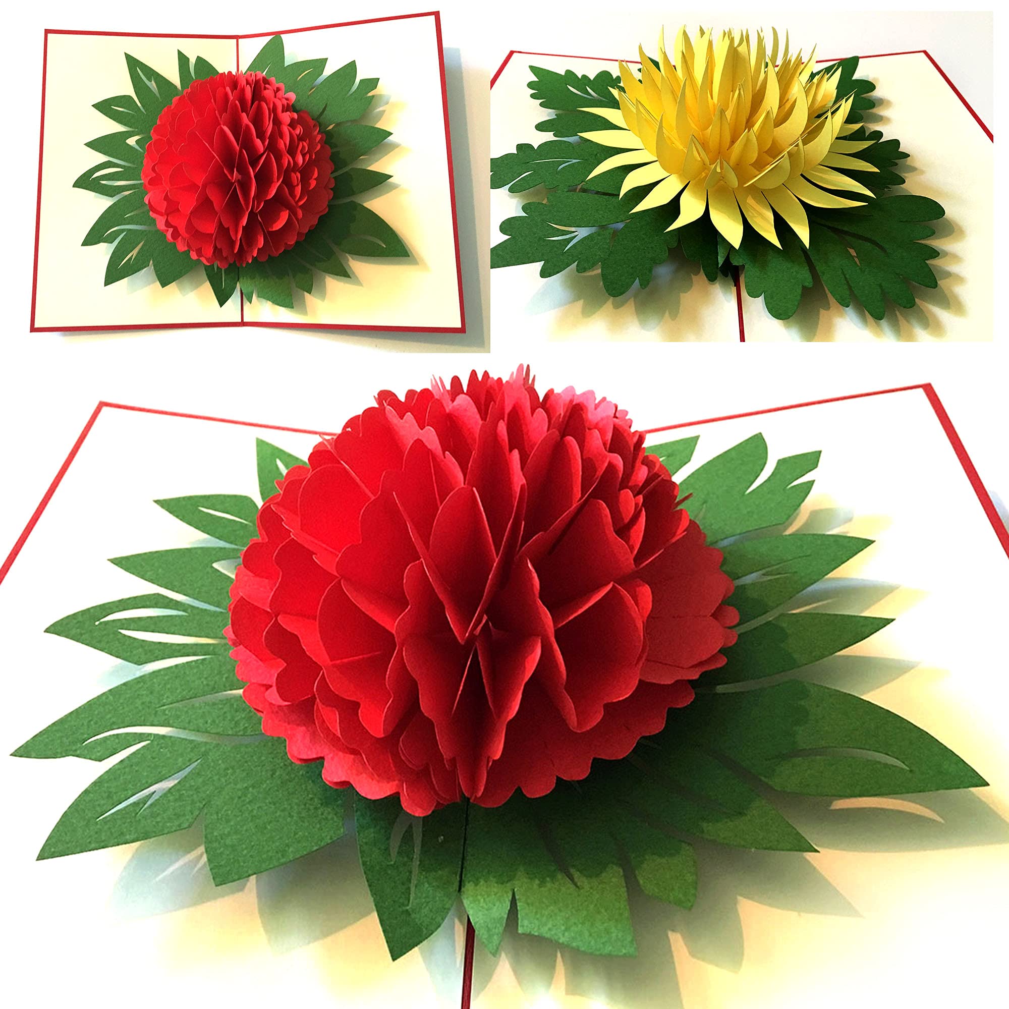 Sunne Tropical 3D Pop-Up Blumen Grußkarte – 15 Cm, Für Hochzeit, Geburtstag & Alle Anlässe, 3er Pack