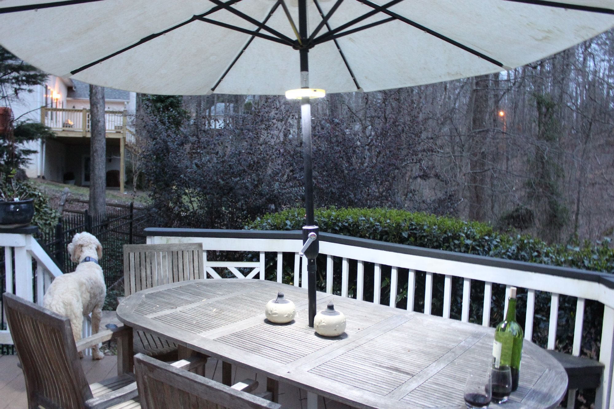 ecoGecko - Luz LED superbrillante para Paraguas, luz de Camping, Piscina y Patio, luz para sombrilla de Patio, 24 Luces LED nocturnas, Funciona con Pilas